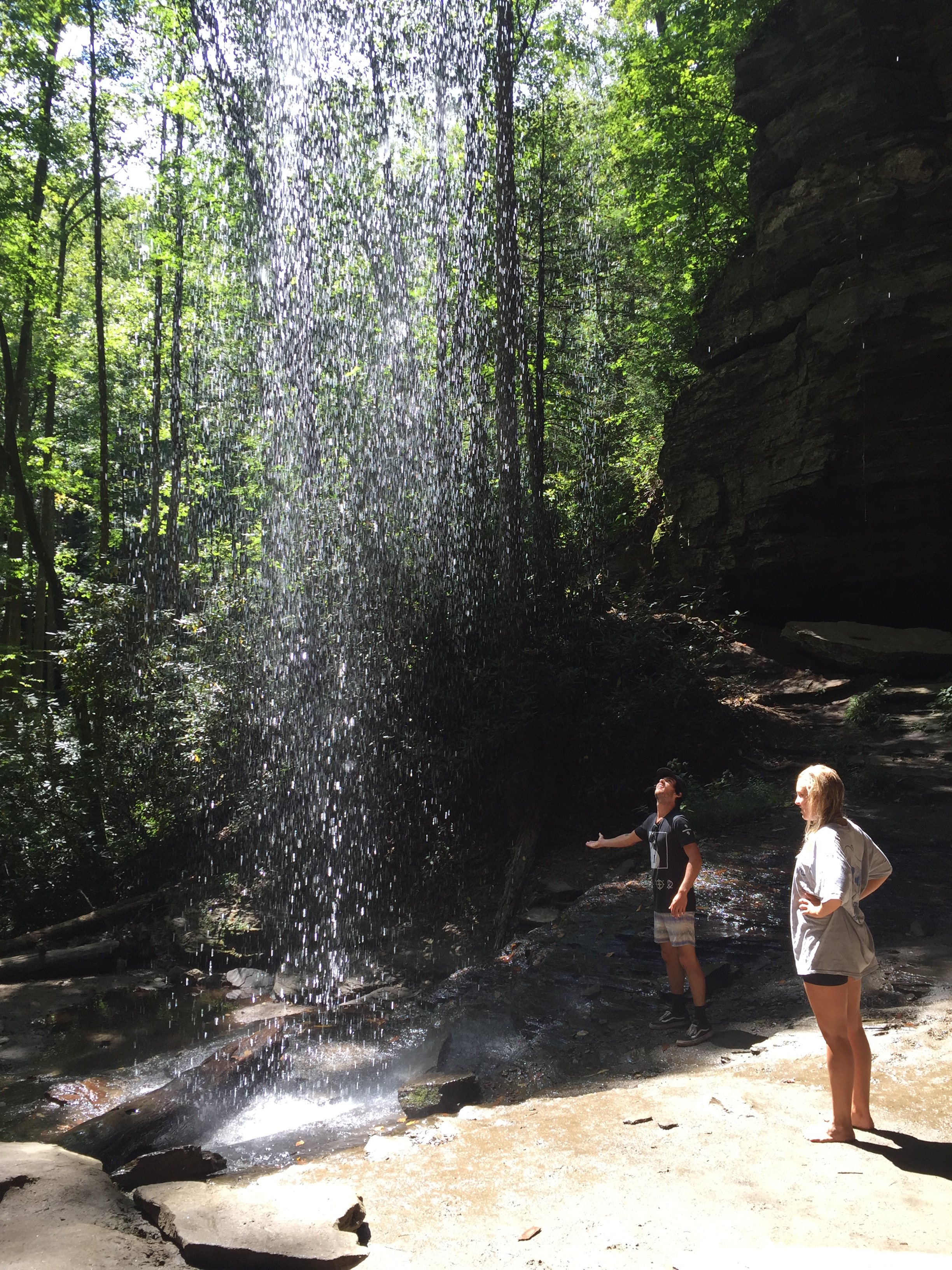 Davidson River Campground