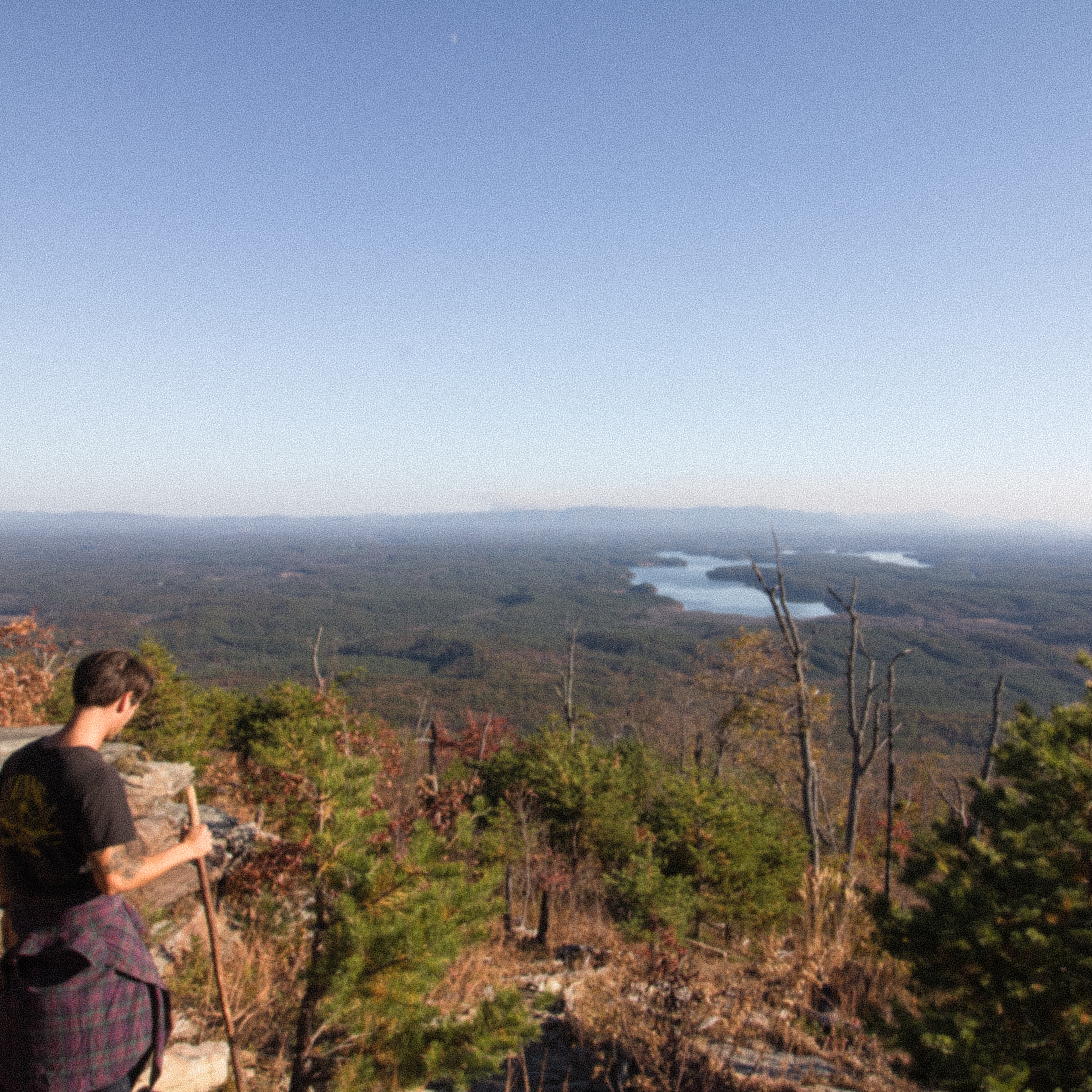Pisgah National Forest
