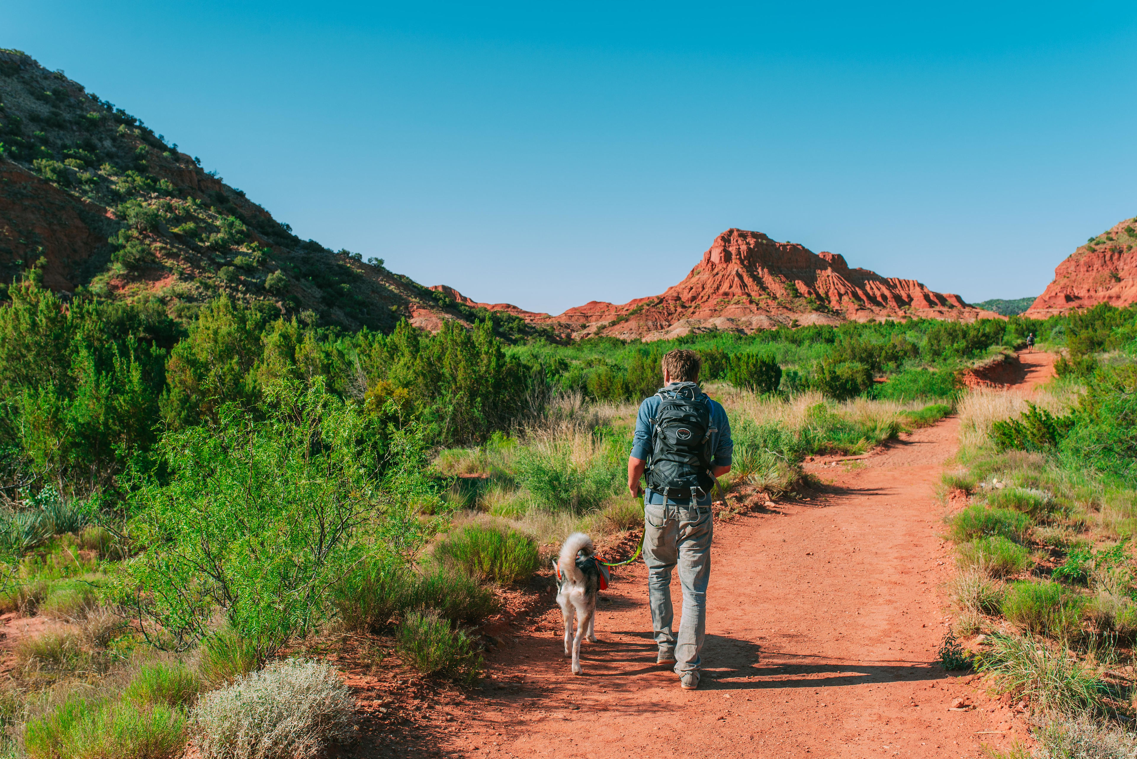 The trail right near the camping area.
