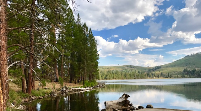 Modoc National Forest