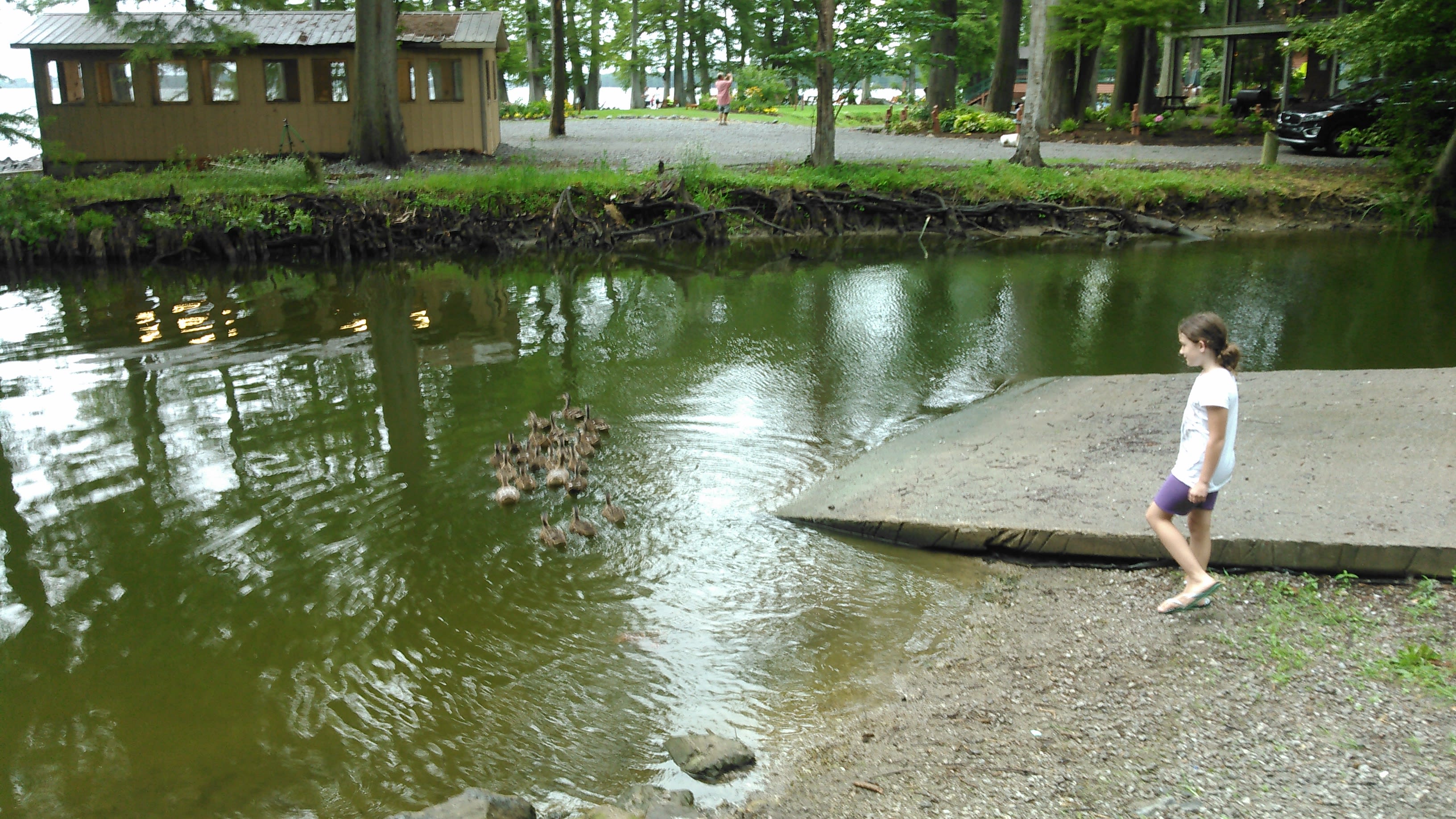 Lot's of Ducks visiting the boat dock inside the campground. 
Great place to also launch Kayak or canoe for a  cruise around the lake.