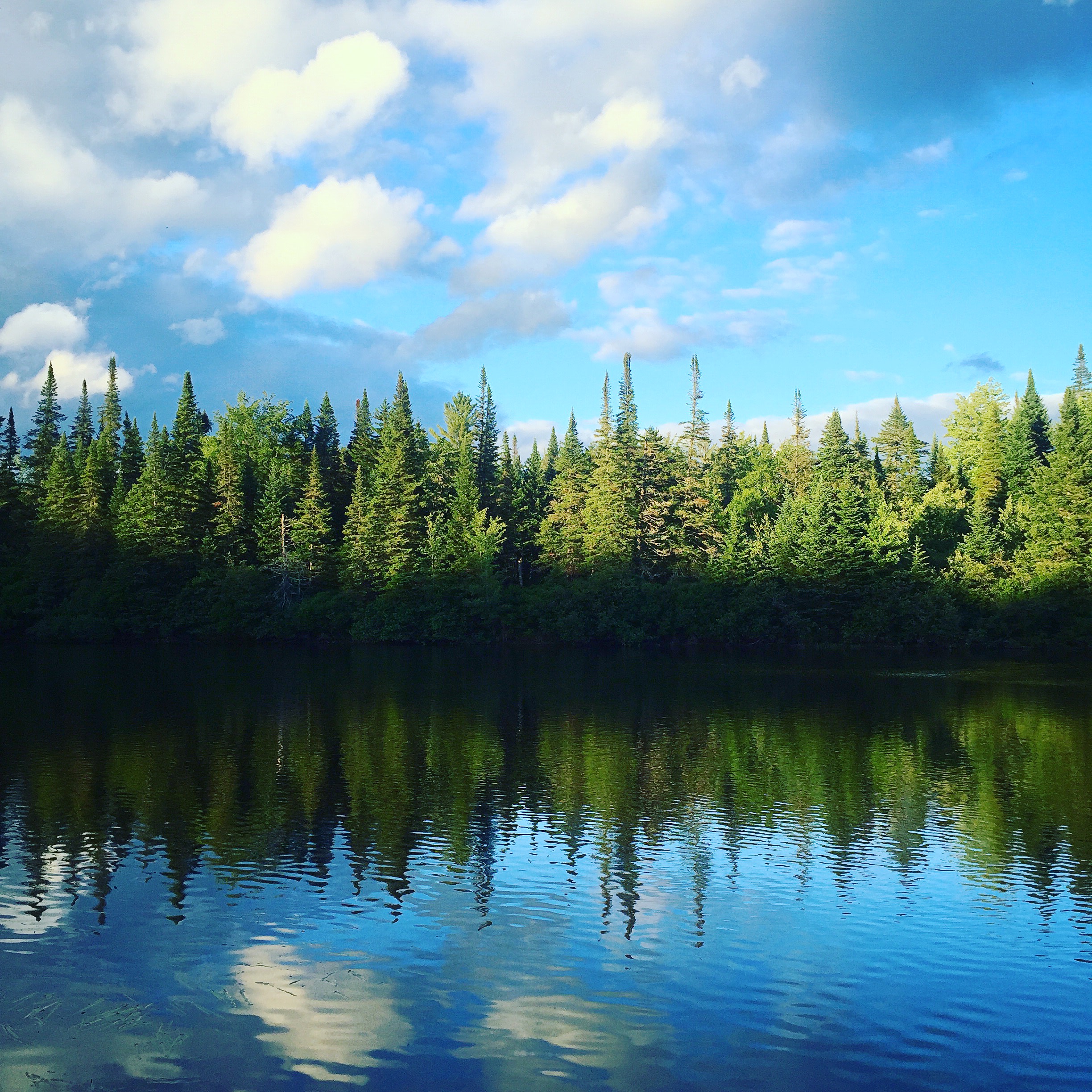 Over 90% of the sites in this campground are waterfront.  