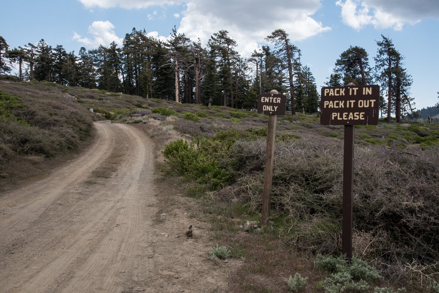 A few miles of rough dirt road get you to this remote campground. No trash so pack it out.
