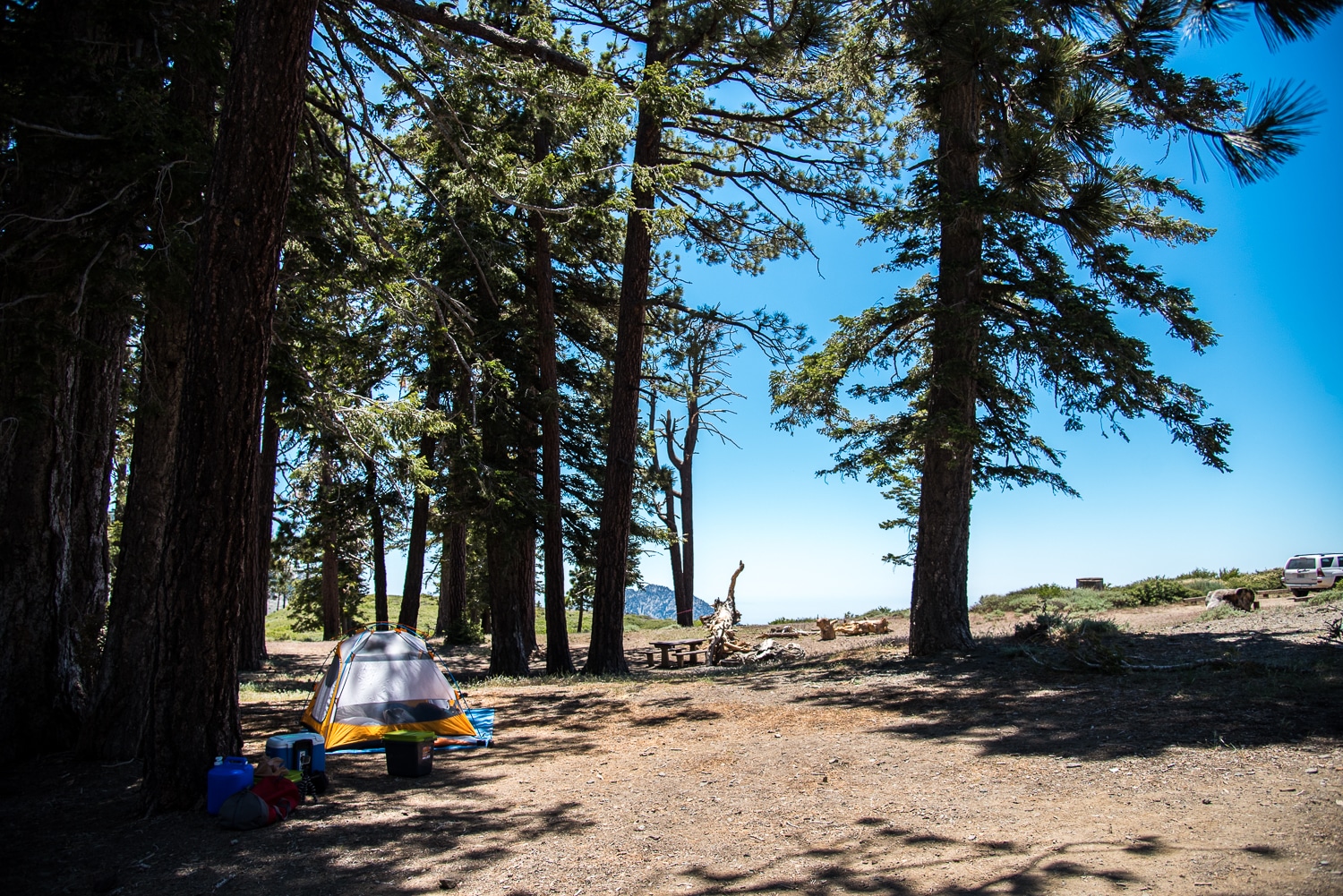Excellent forest camping!