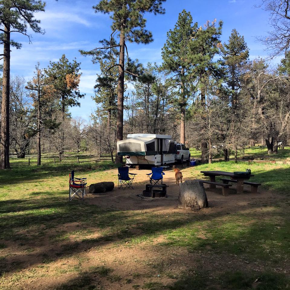 A good look at how spacious the sites are. Back when we were towing our Coleman Pop Up, this campground was always easy in-and-out. We've moved up to an in-bed camper now, and we still make it to this campground 2-3 times a year.