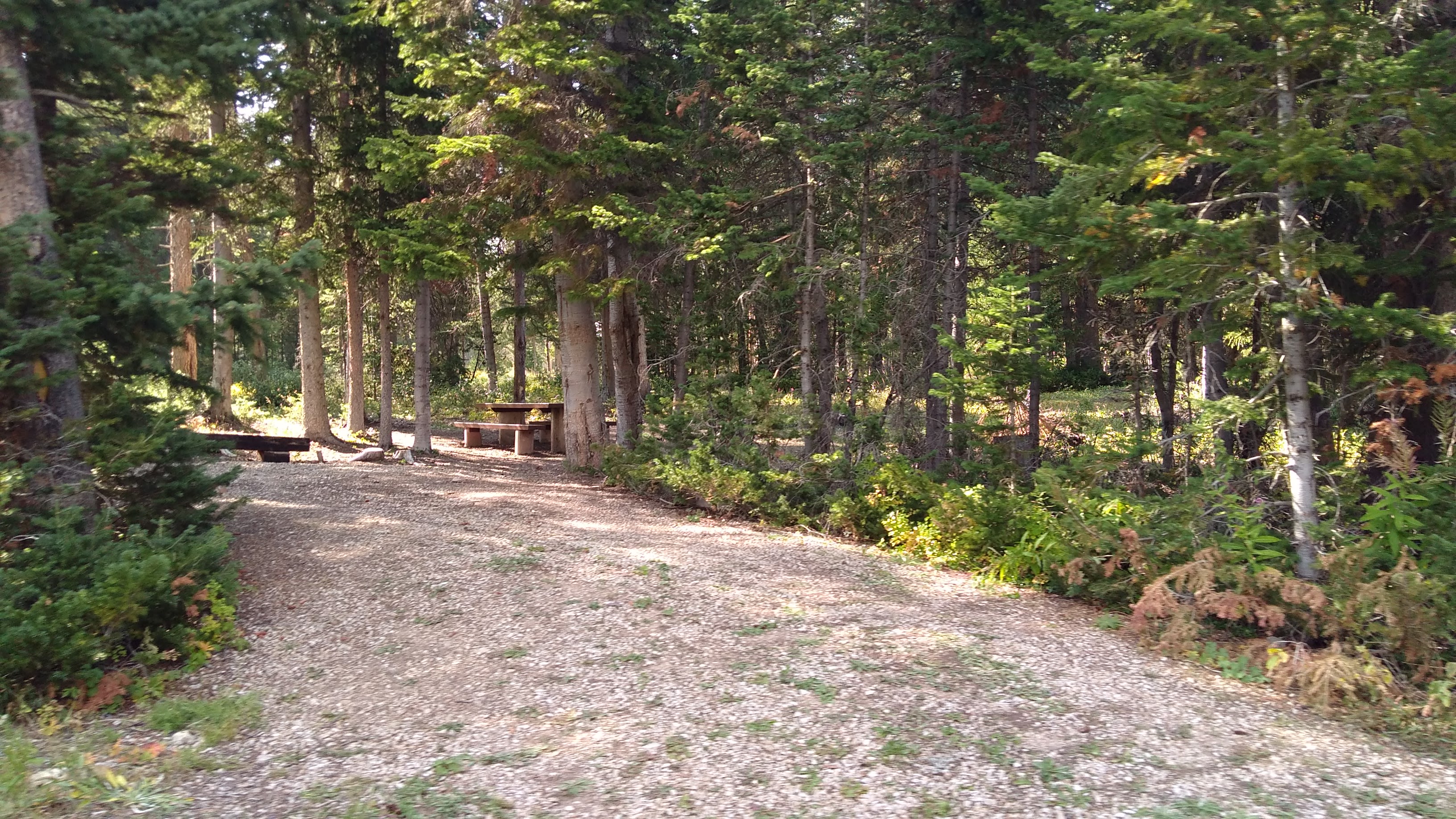 Sacajawea Campground