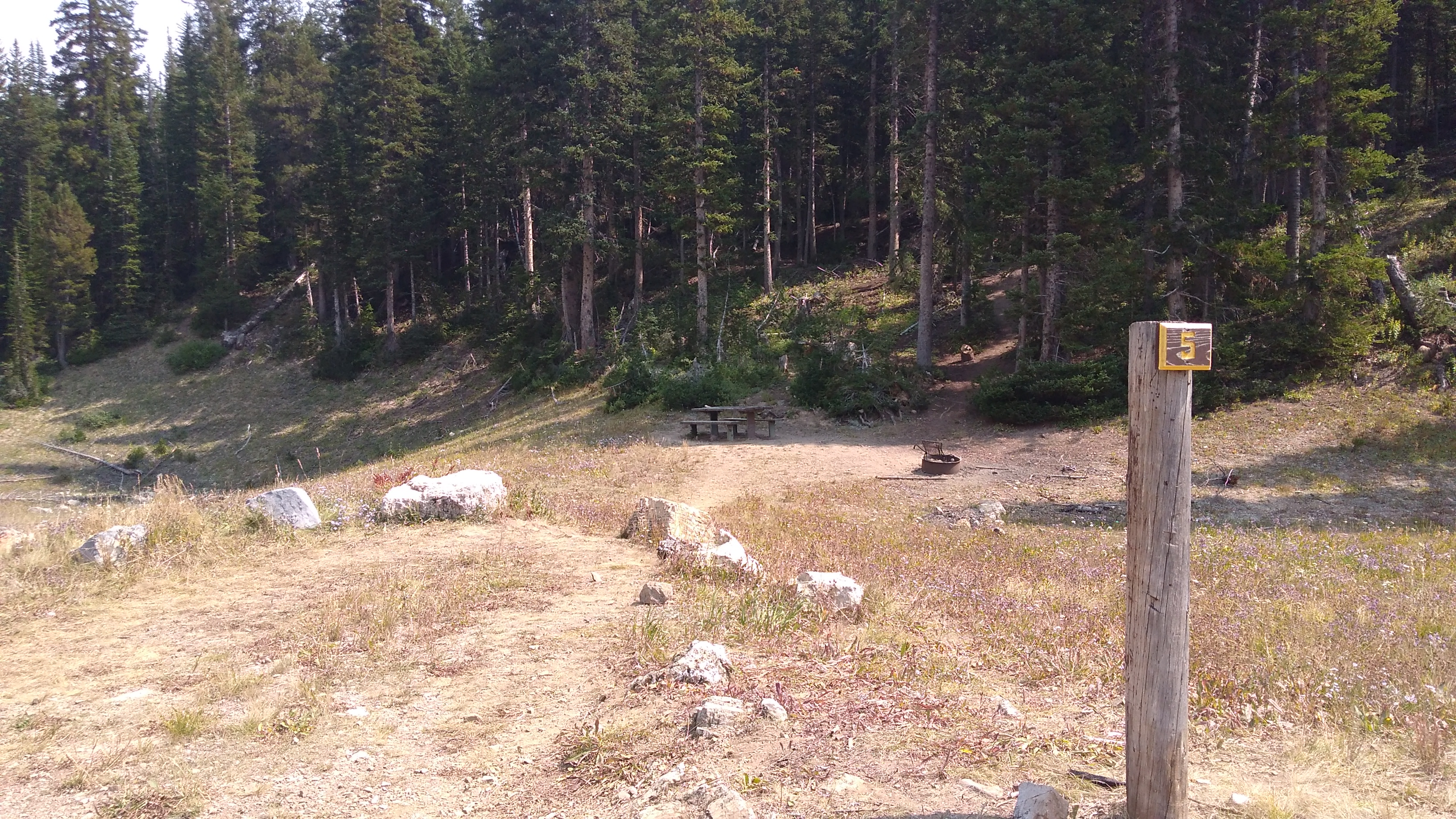 Middle Piney Lake Campground