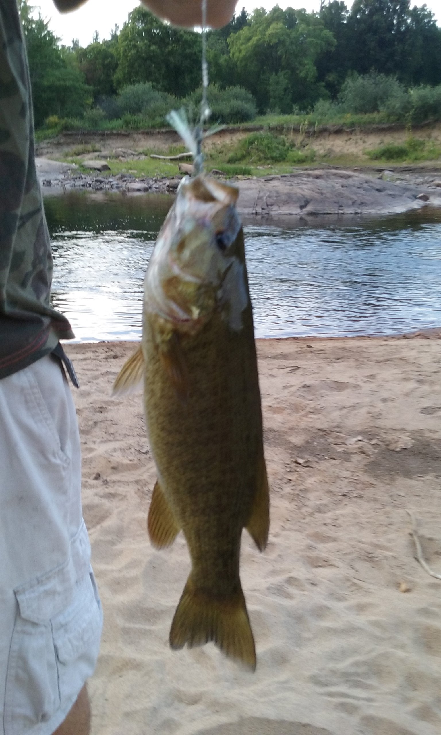 Adirondack Acres Trail & Camp