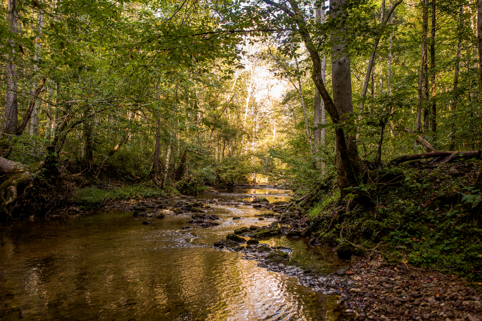 Talk a walk up the creek to head towards the private waterfall.