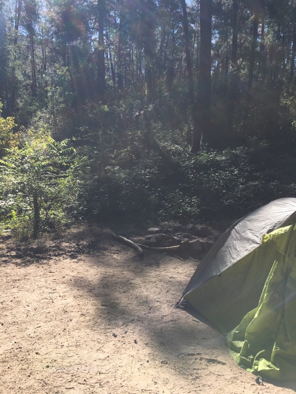 Rose Creek Campground