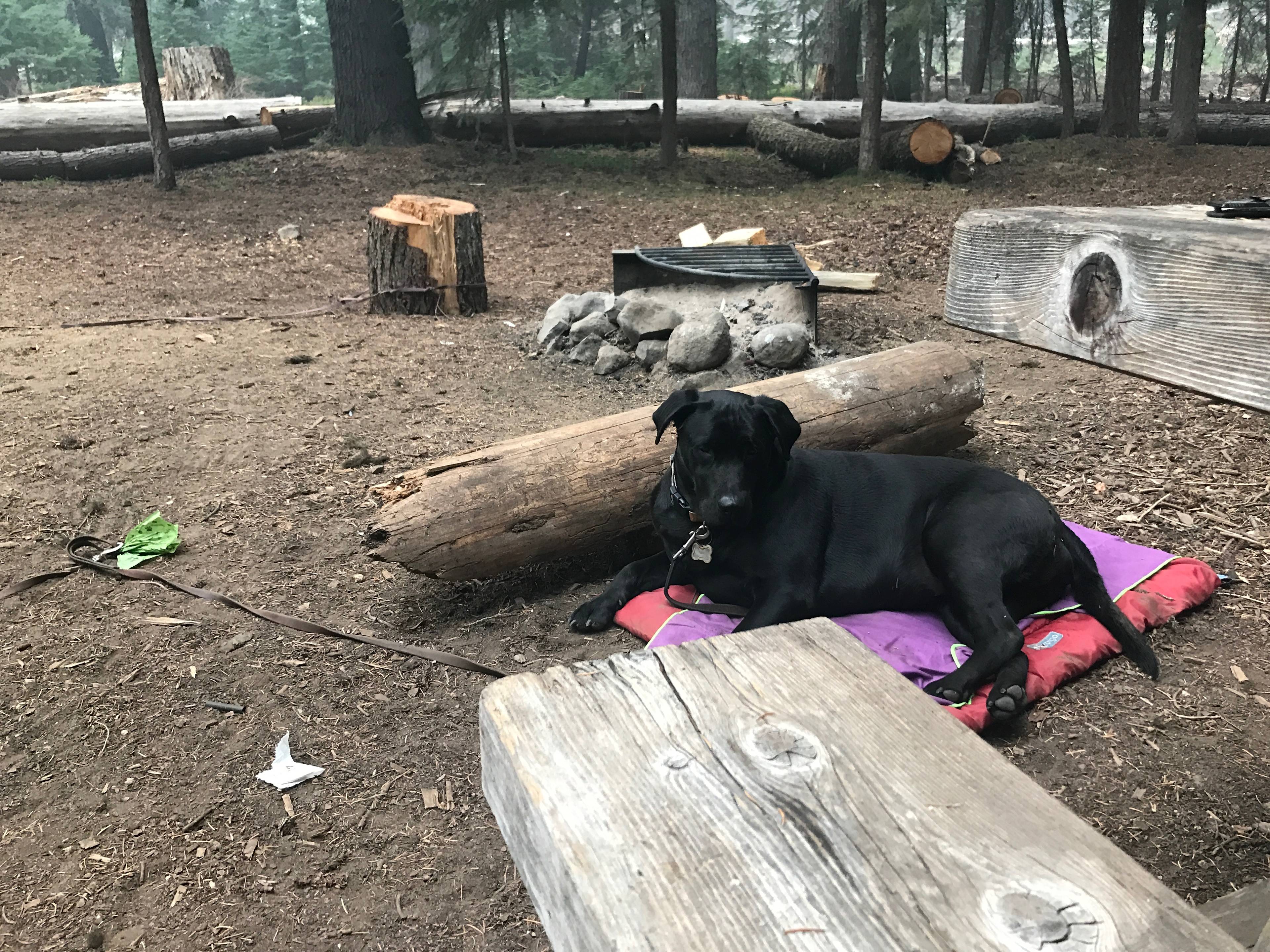 Thielsen View Campground