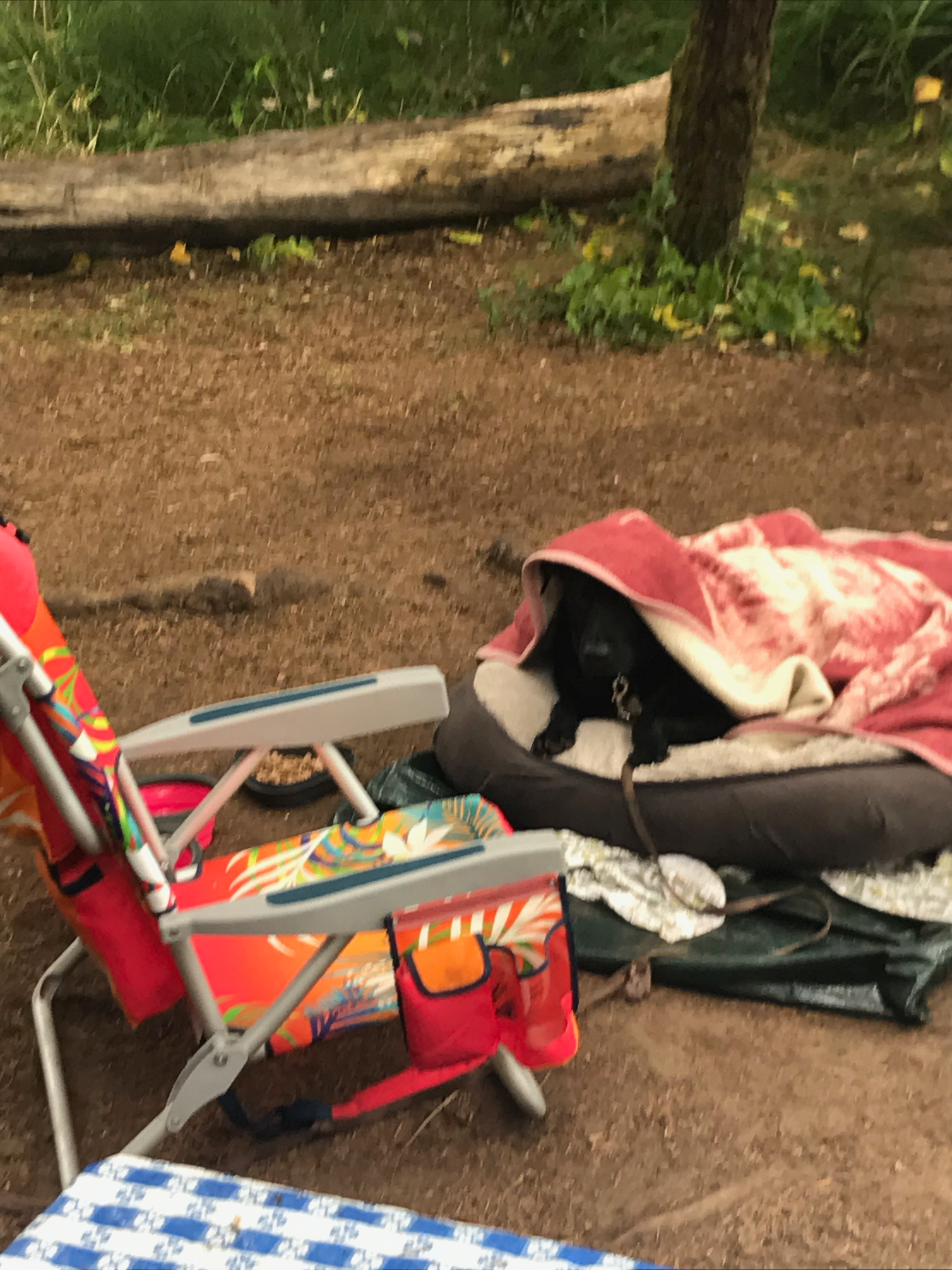 Beachside State Recreation Site Campground