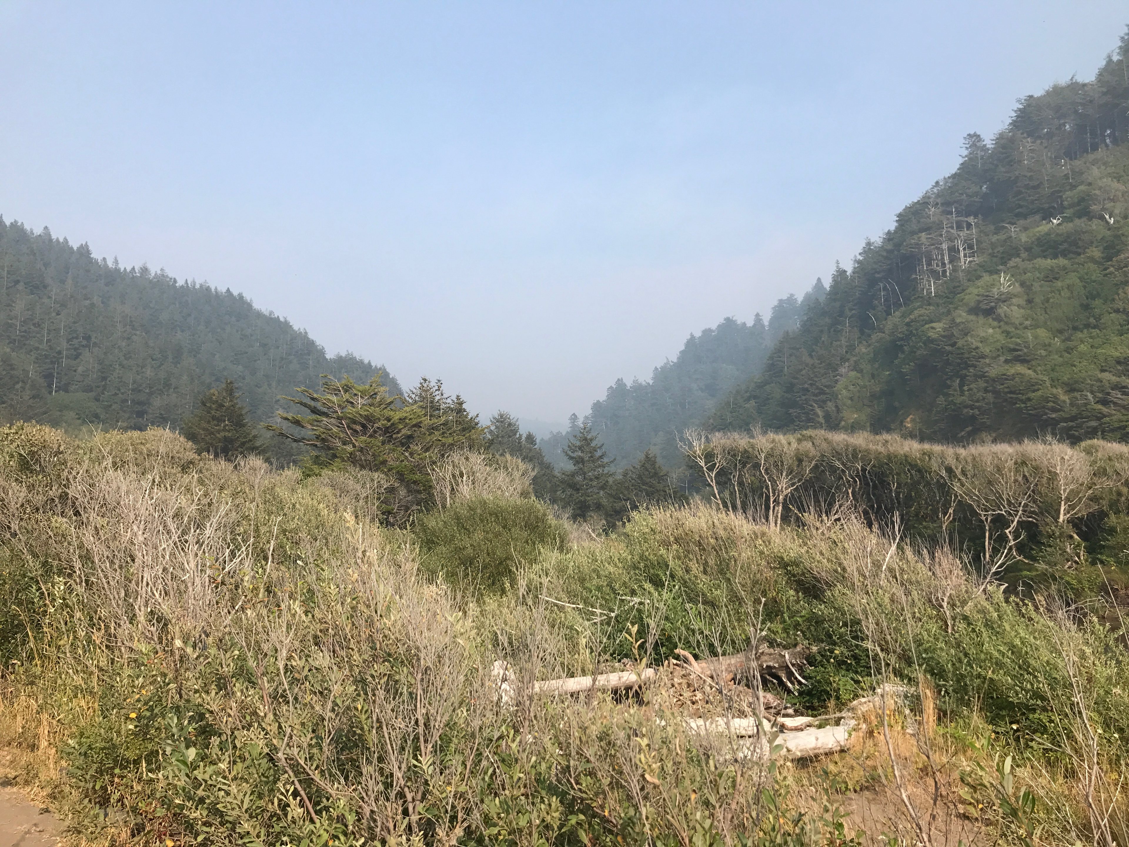 Humbug Mountain State Park