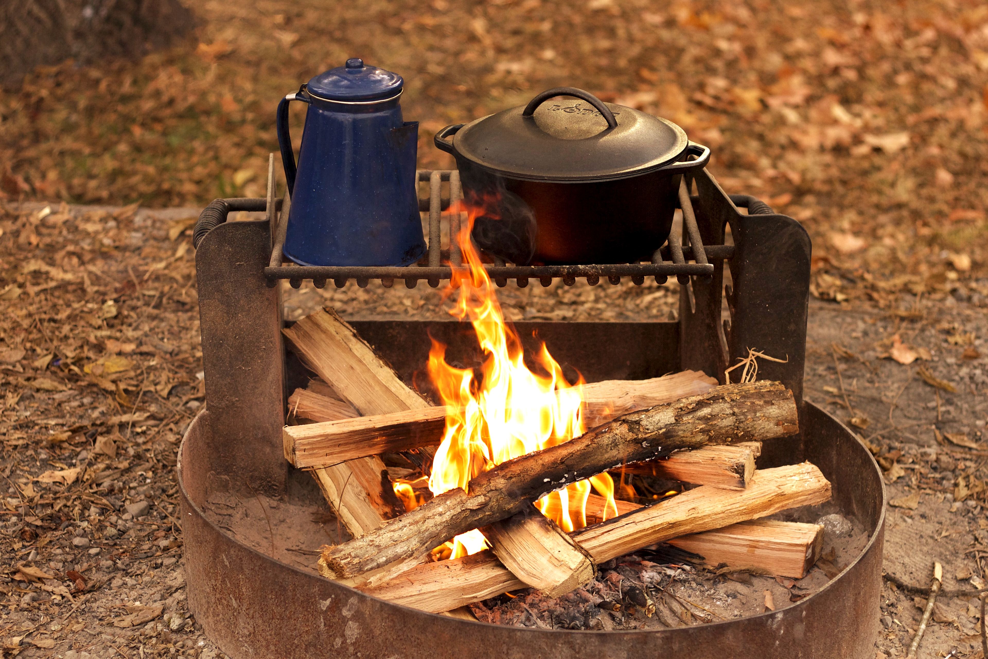 Campfire rings and grates at each site make cooking so easy.