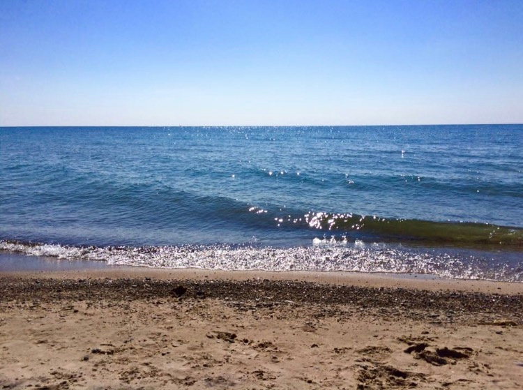 Harrisville State Park