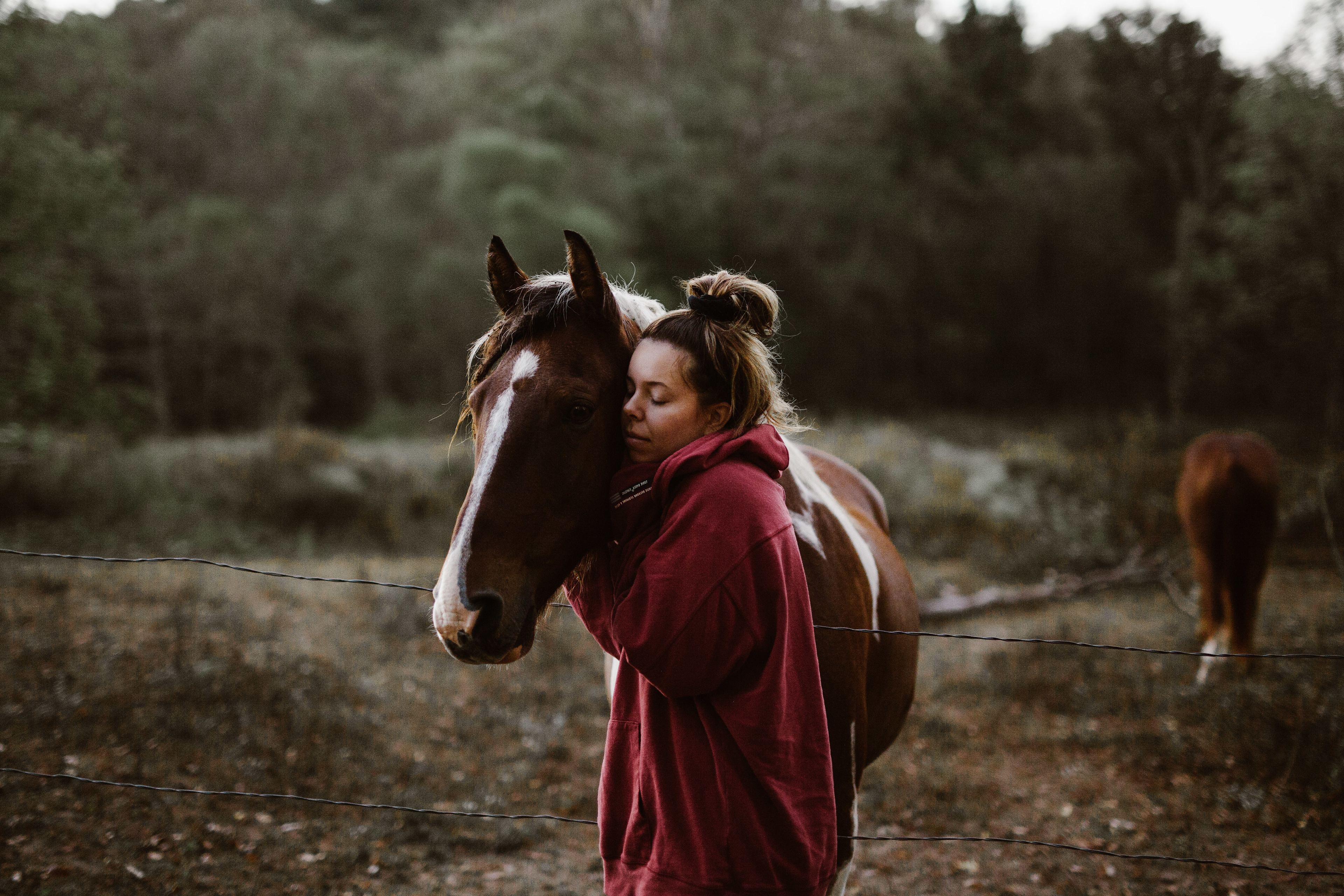 The most friendly horses.
