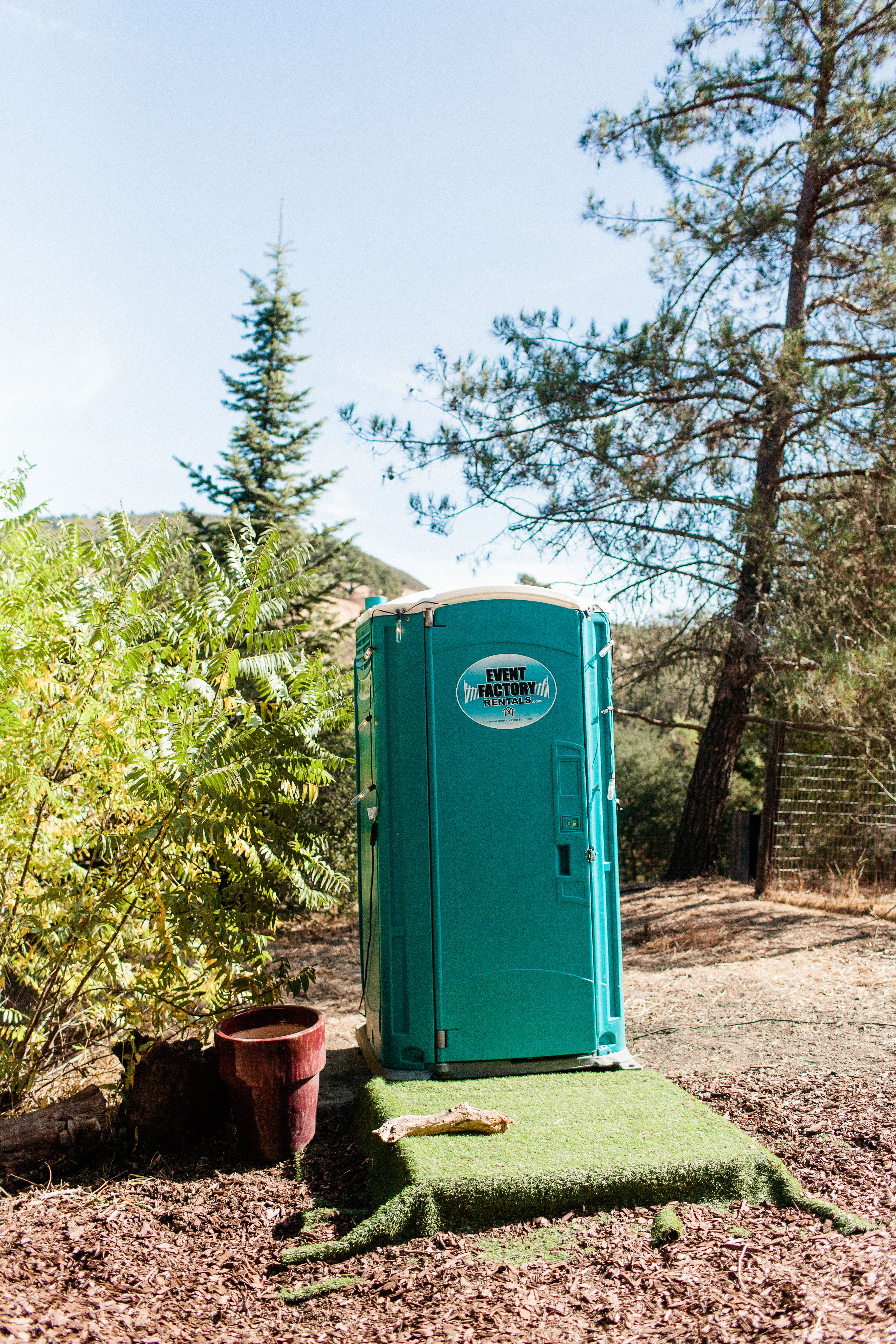 Frog Hollow Homestead