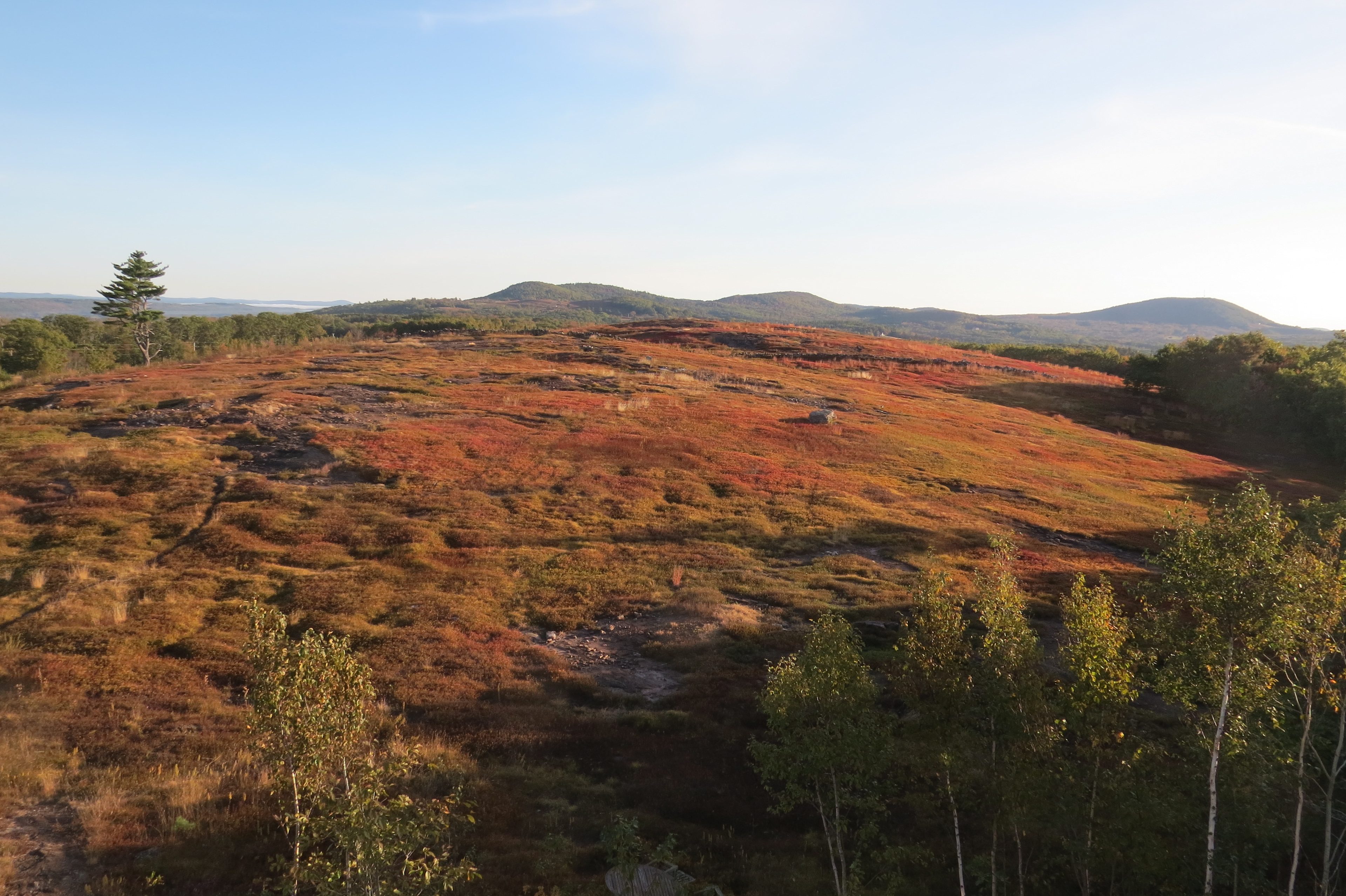 Magnificent View Blueberry Hilltop