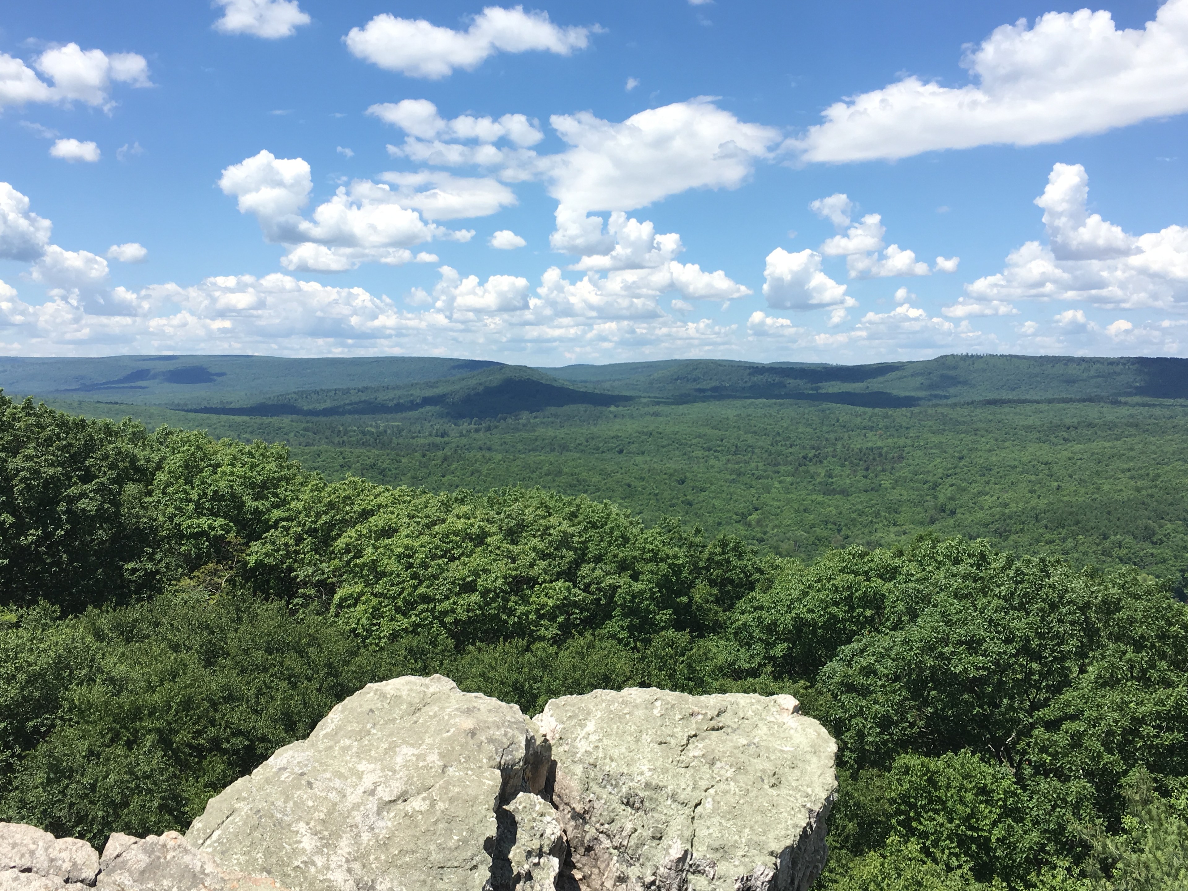 The view from Pole Steeple in the summer...