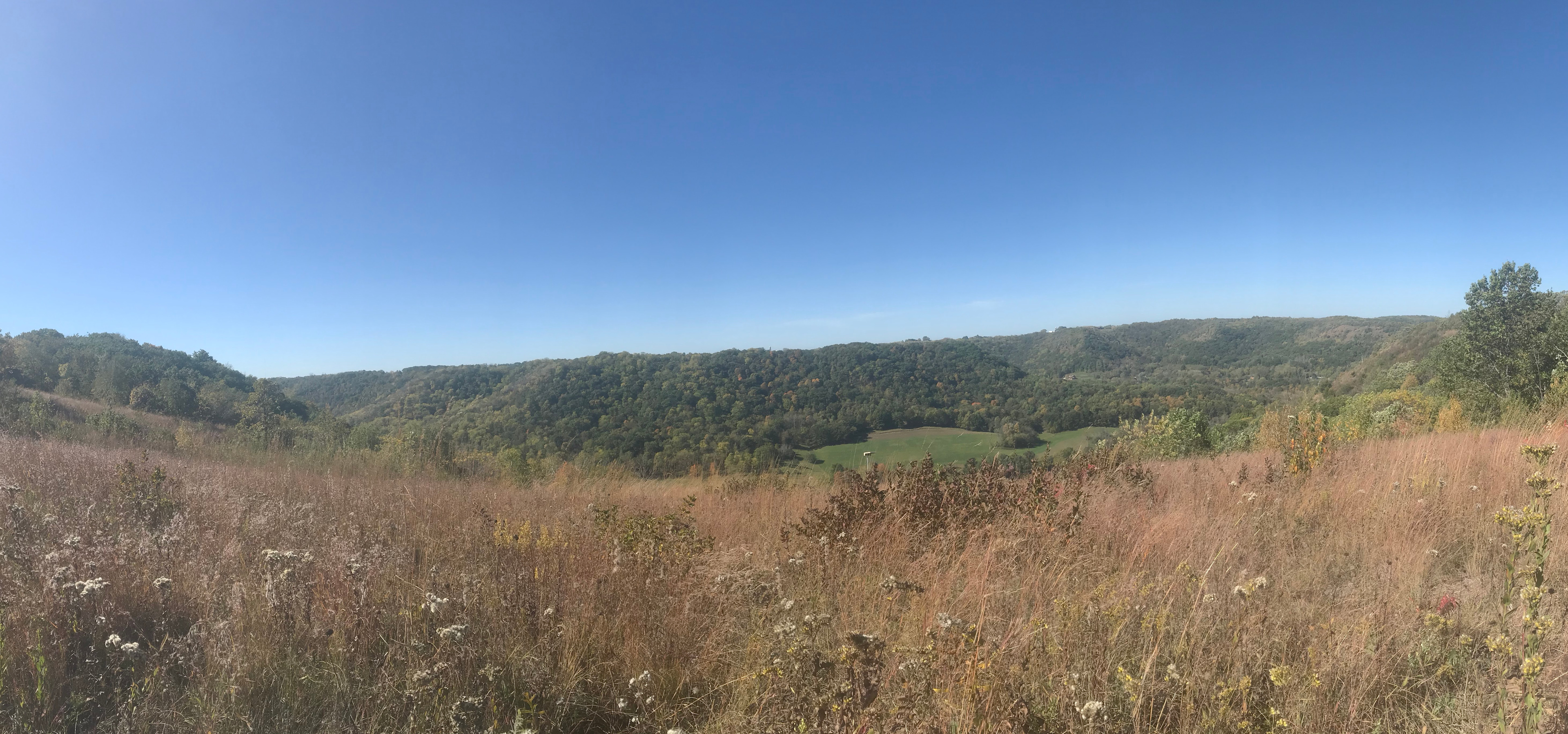 Views on the trail to King's Bluff