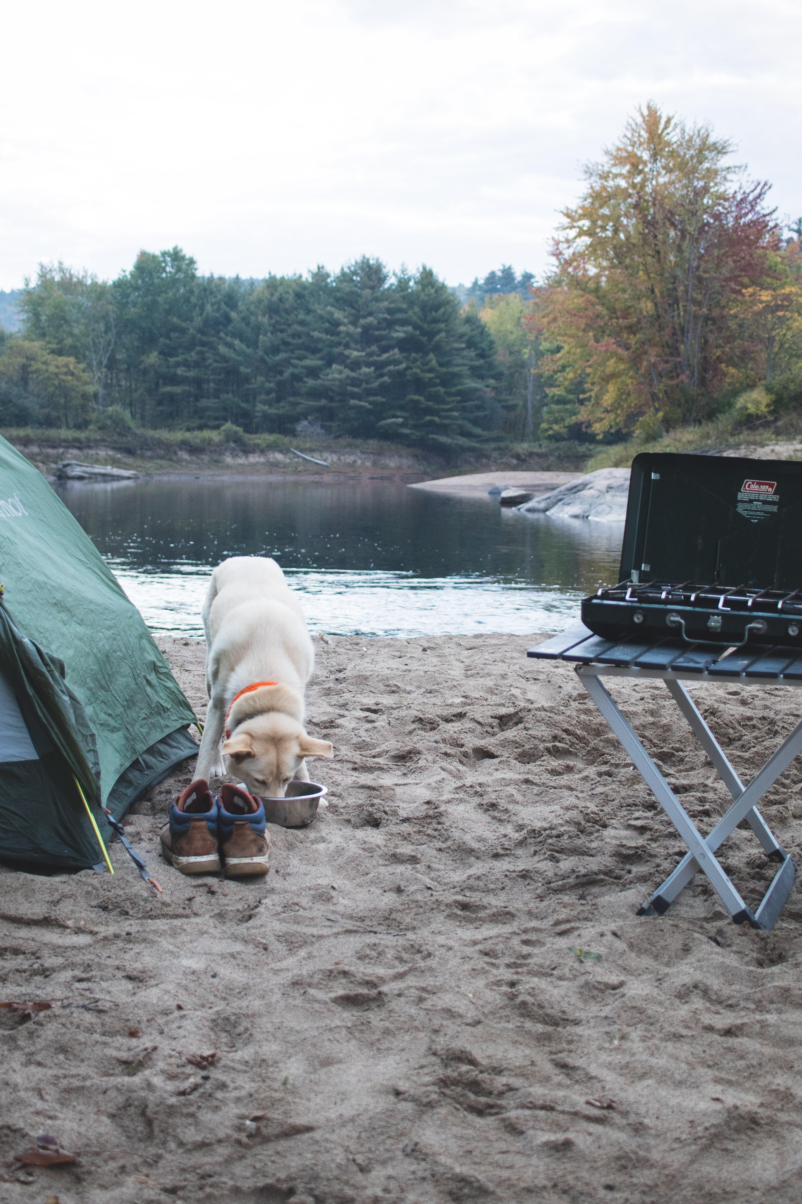 Adirondack Acres Trail & Camp
