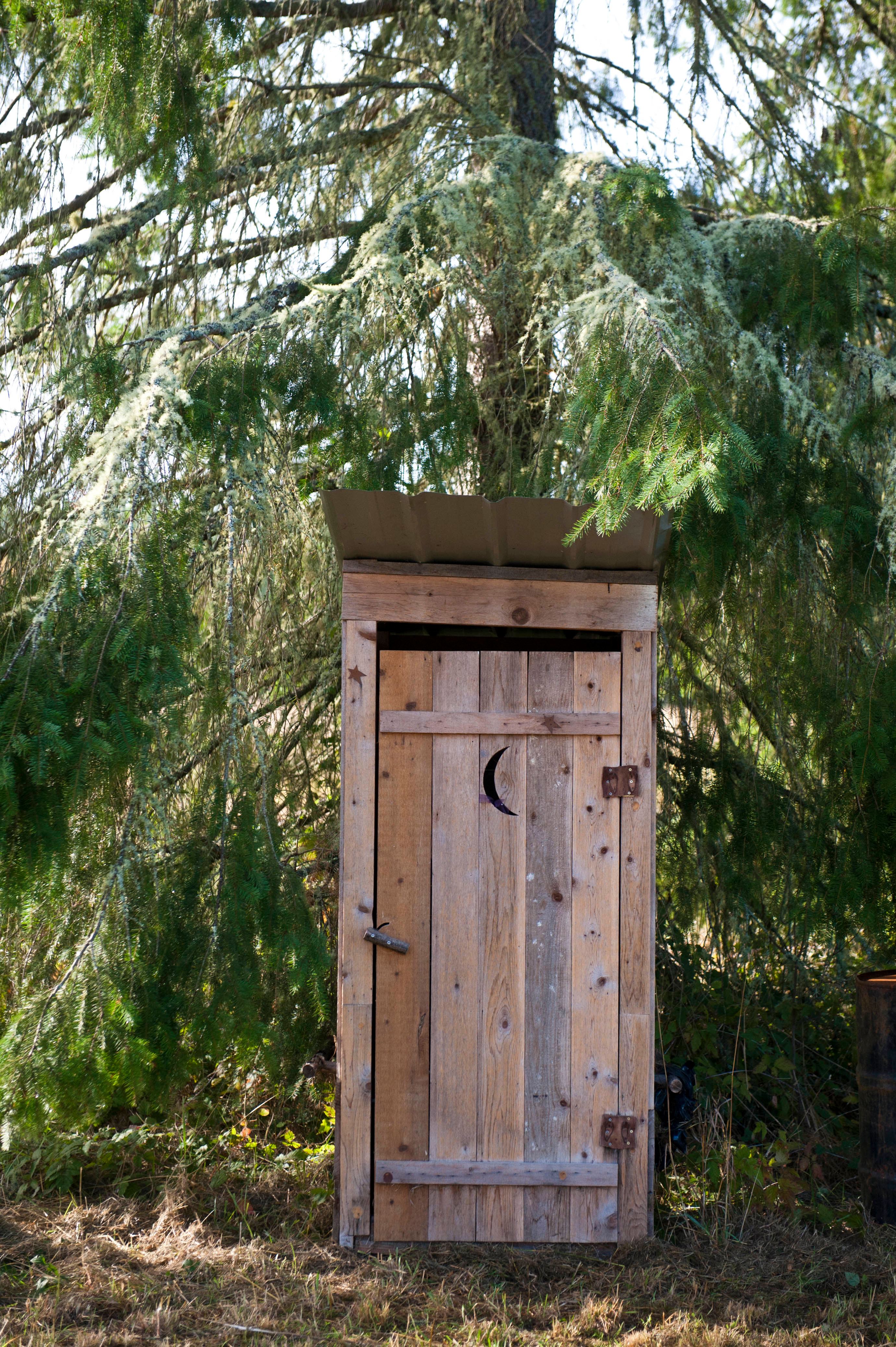 The loo
