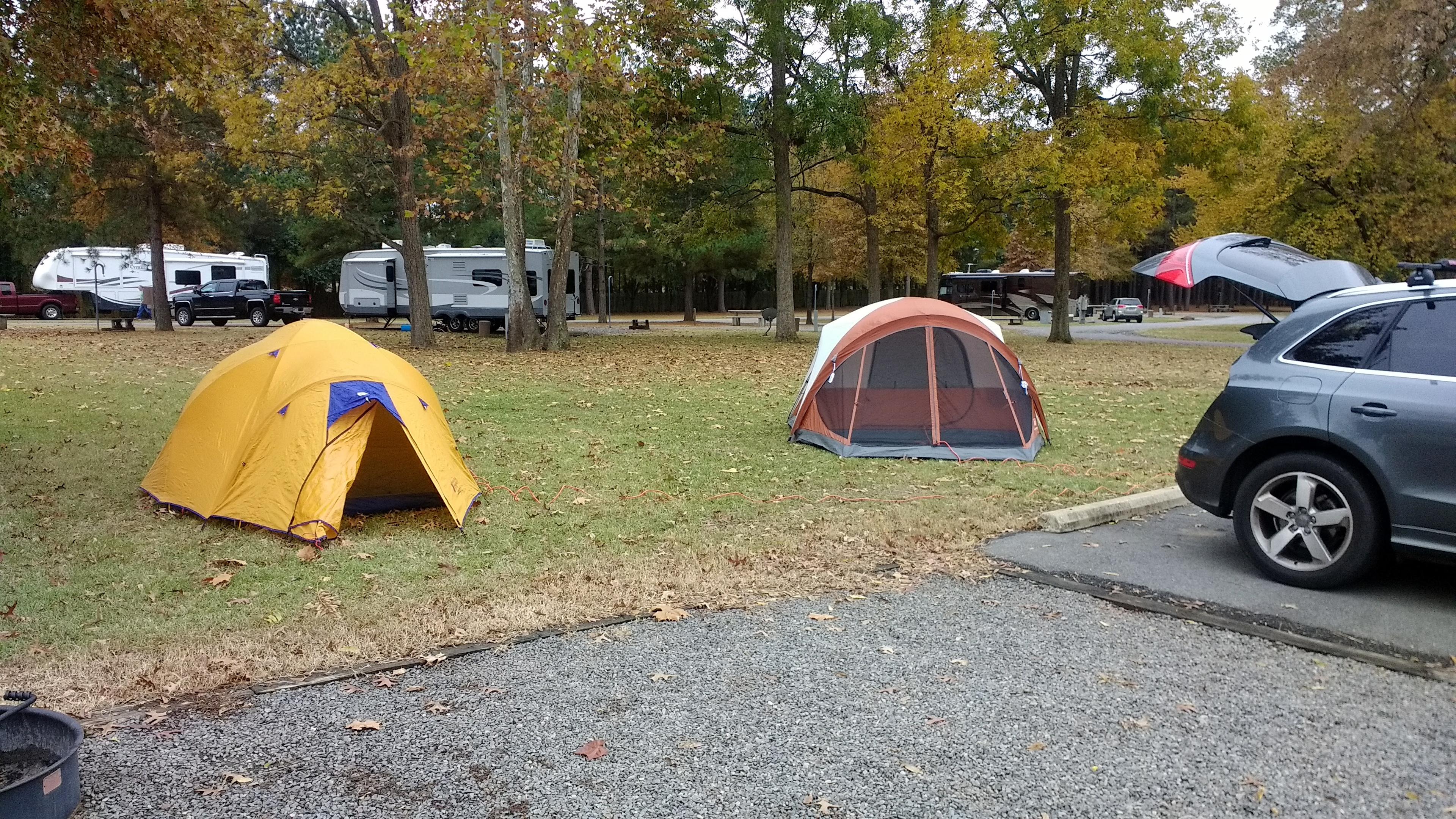 Spacious campsites to set up the tents