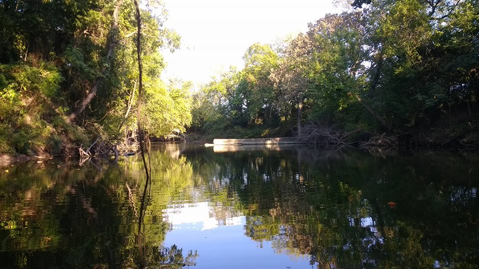 Limestone Bluffs Paddling trail is easy to paddle.