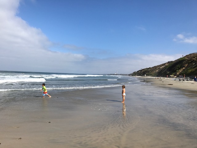 Beautiful stretch of beach in North Coastal San Diego.