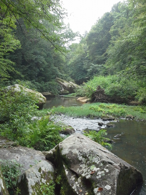 Bankhead National Forest