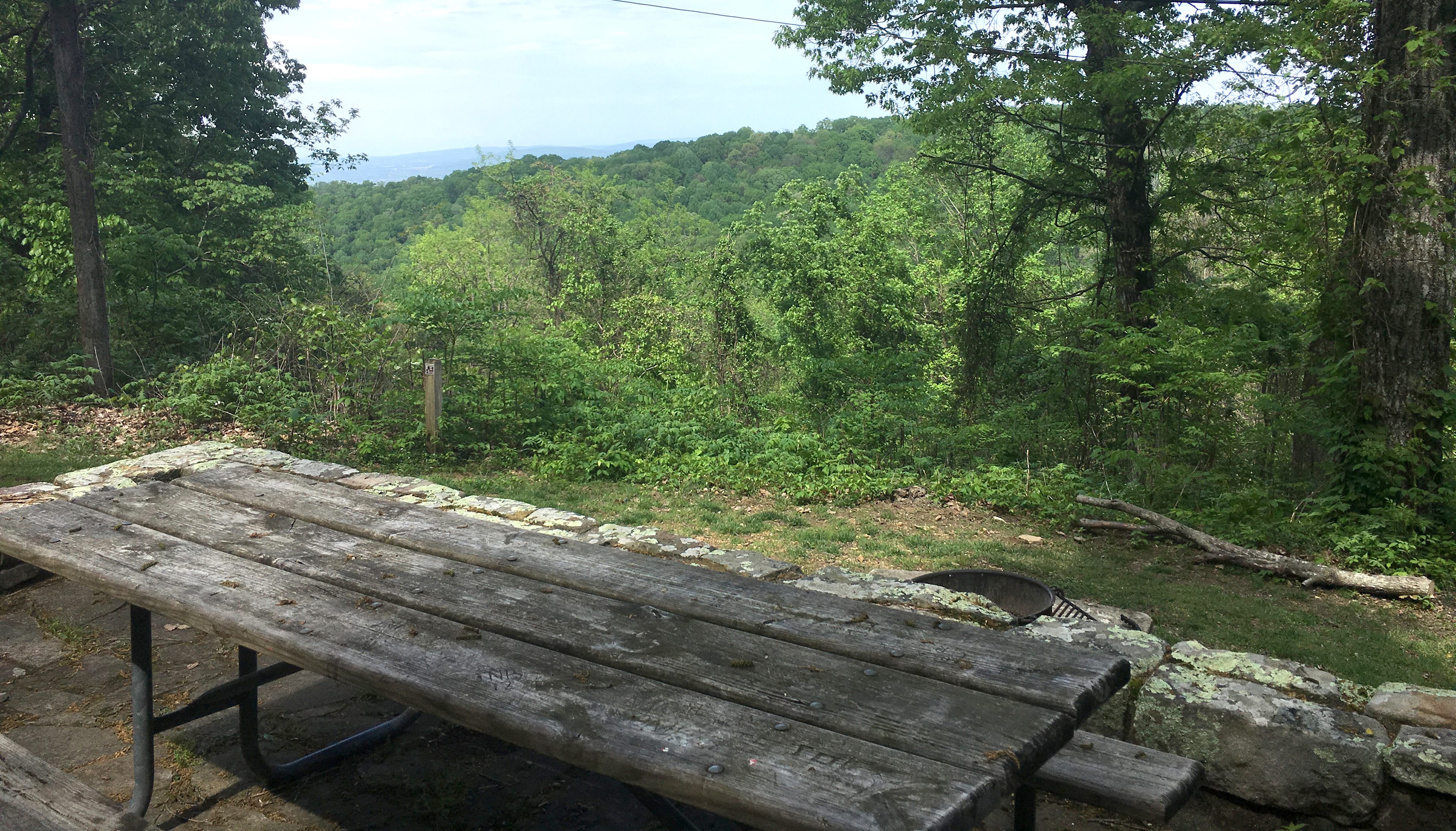Each cabin has a back porch area like this with some nice views and plenty of room to hang out!