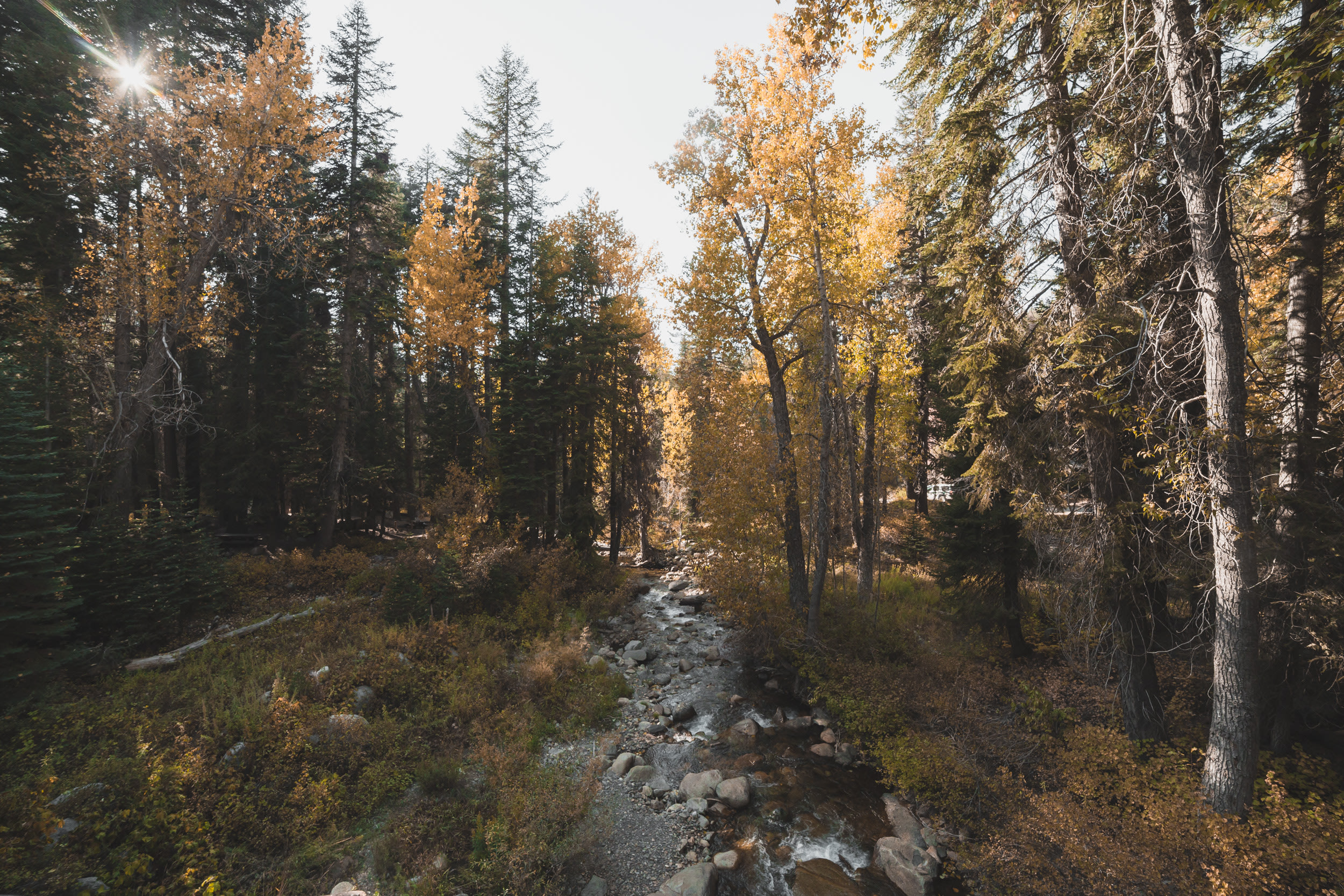 Cold Springs Campground