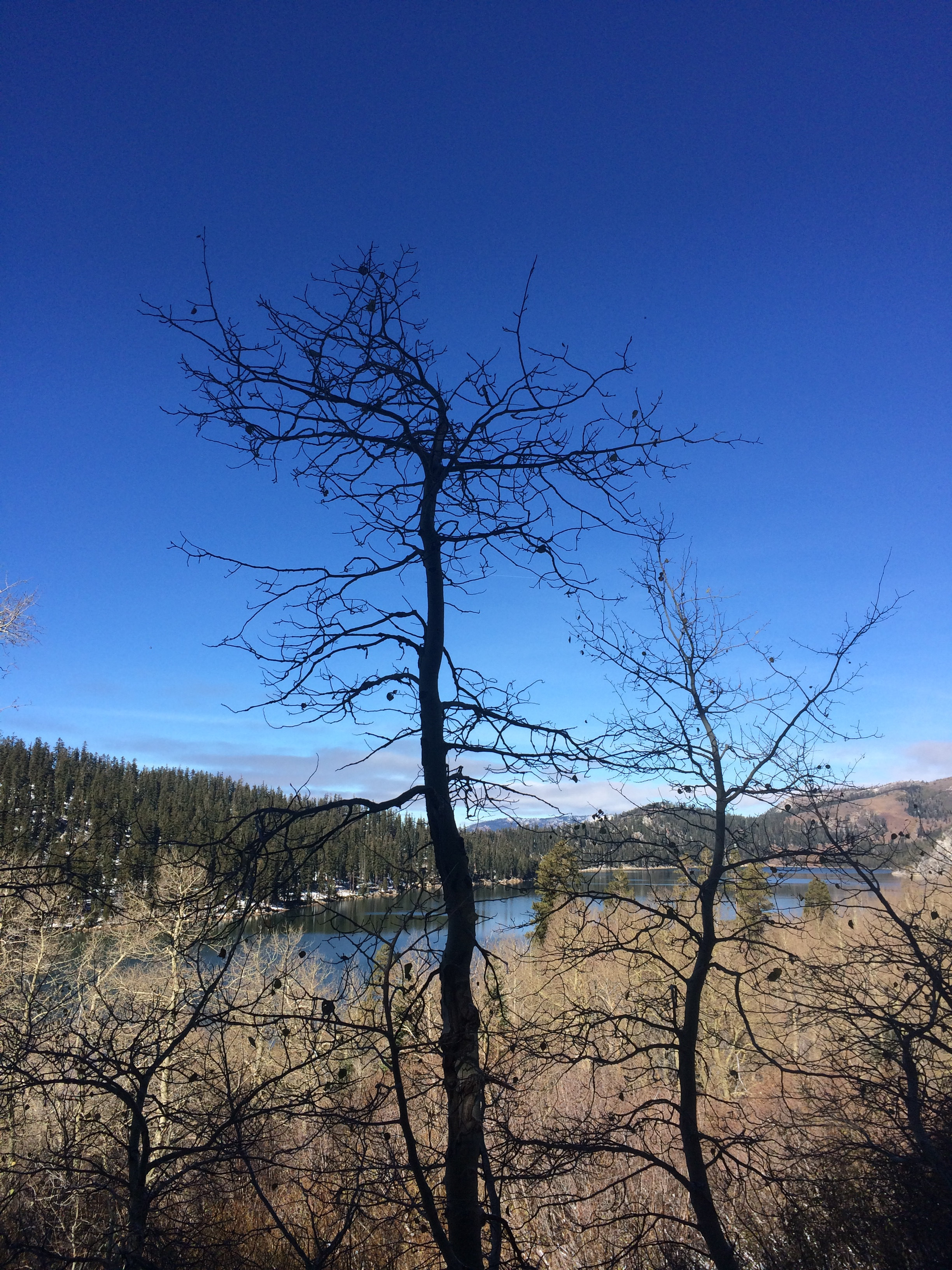 Marlette Lake