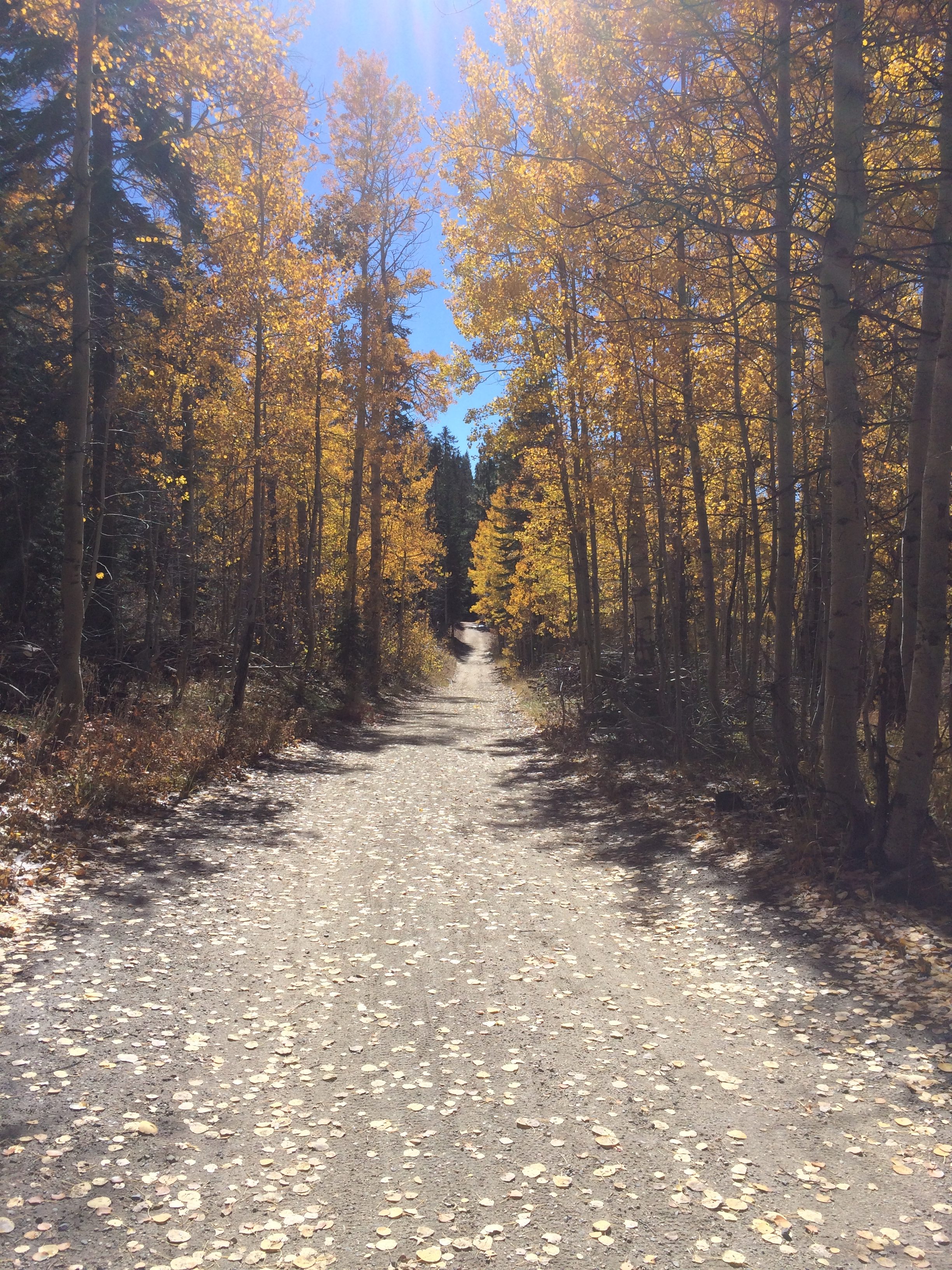 The beautiful trail to Marlette