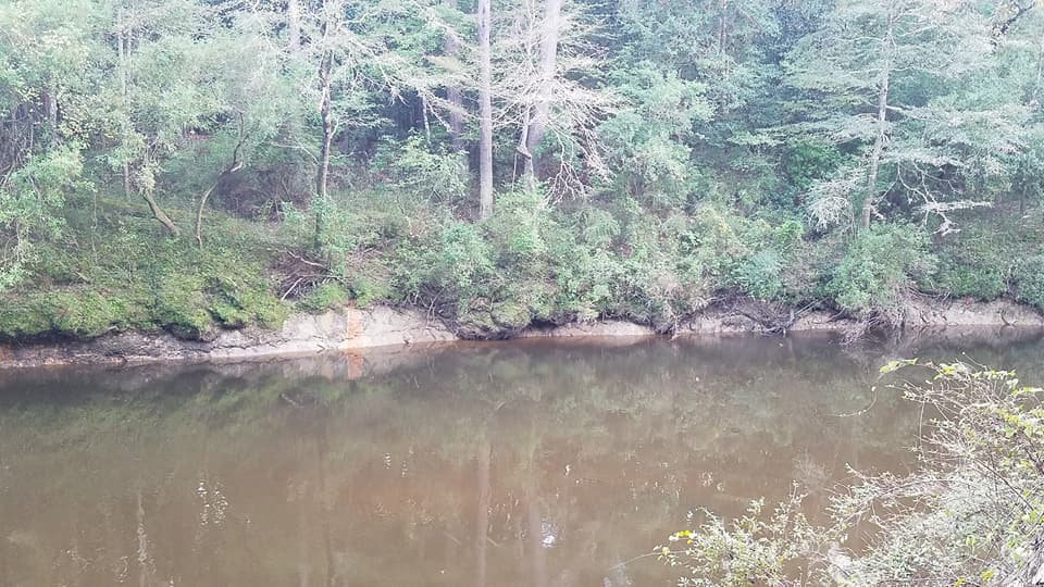 Another shot of the creek.