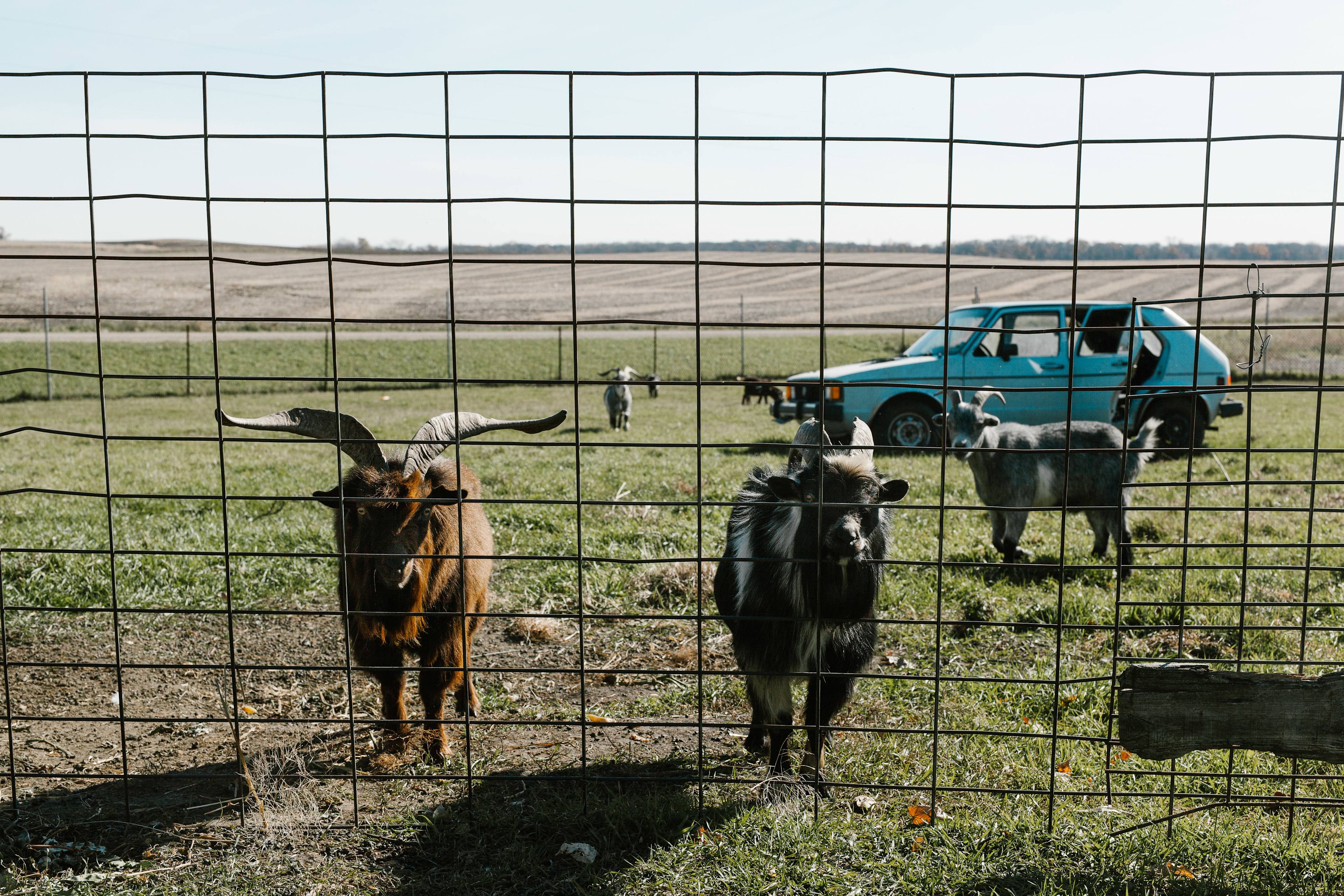 Mn River Valley Sanctuary