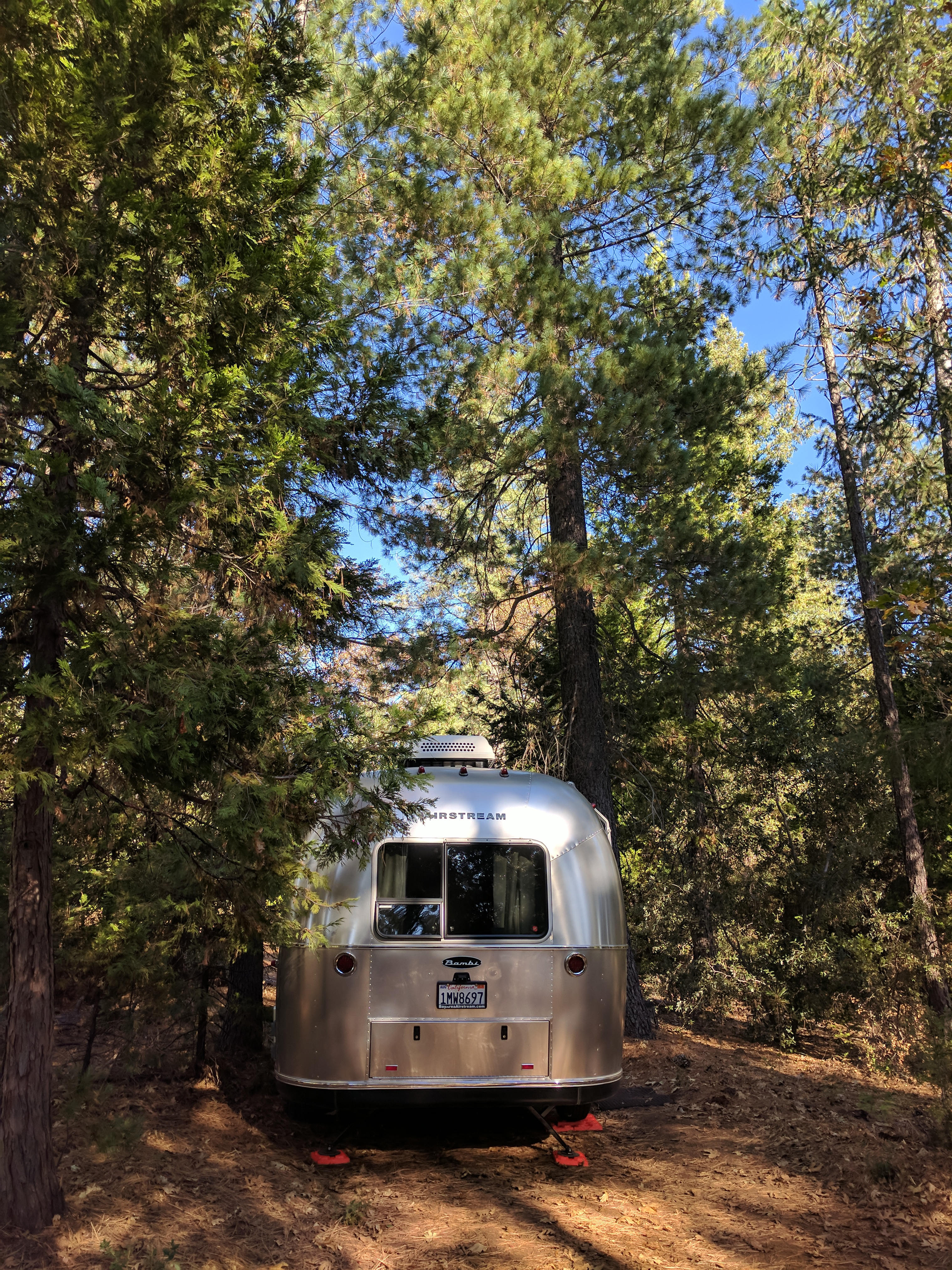 Literally tucked under the trees! 