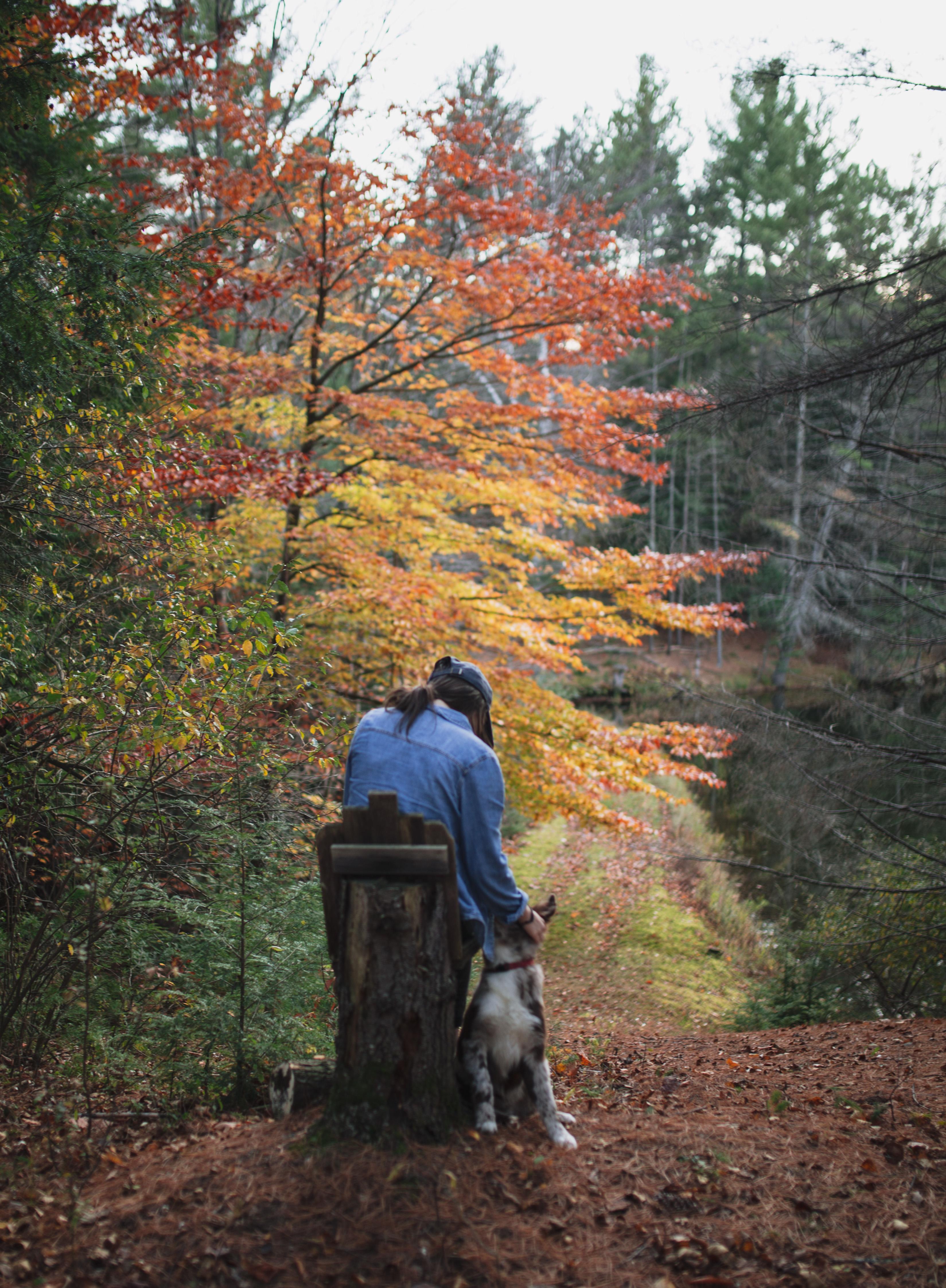 lovely trunk seat to take in the foliage 