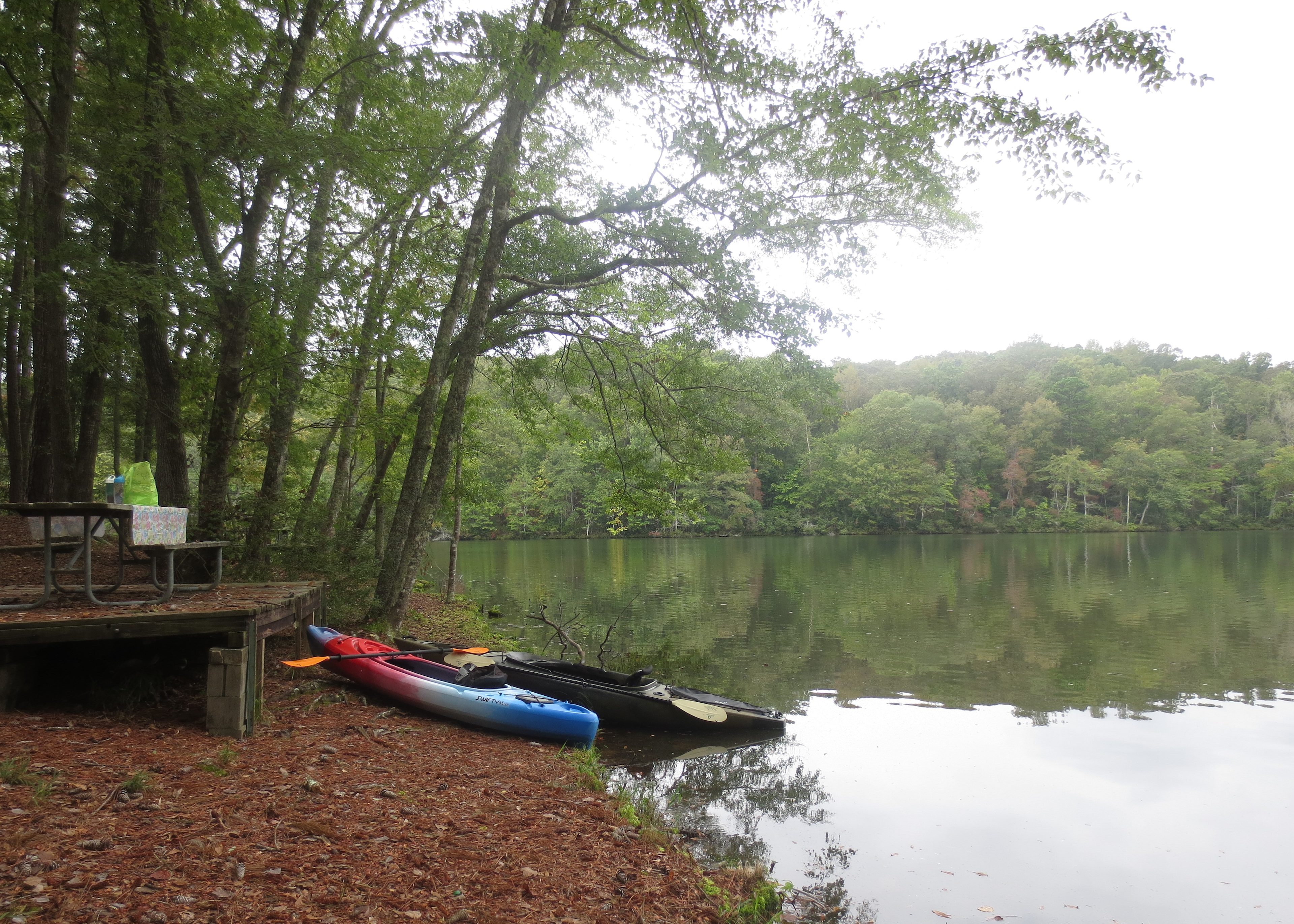 Lake Lurleen State Park Picnic Area