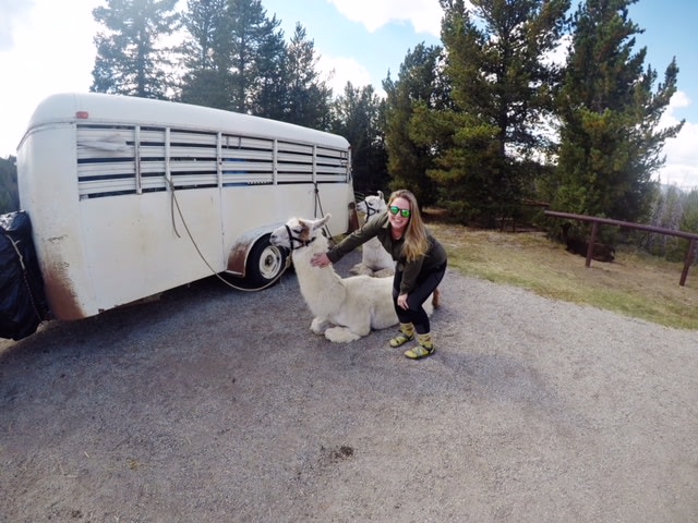 Who knows- you might even meet a few llamas! 