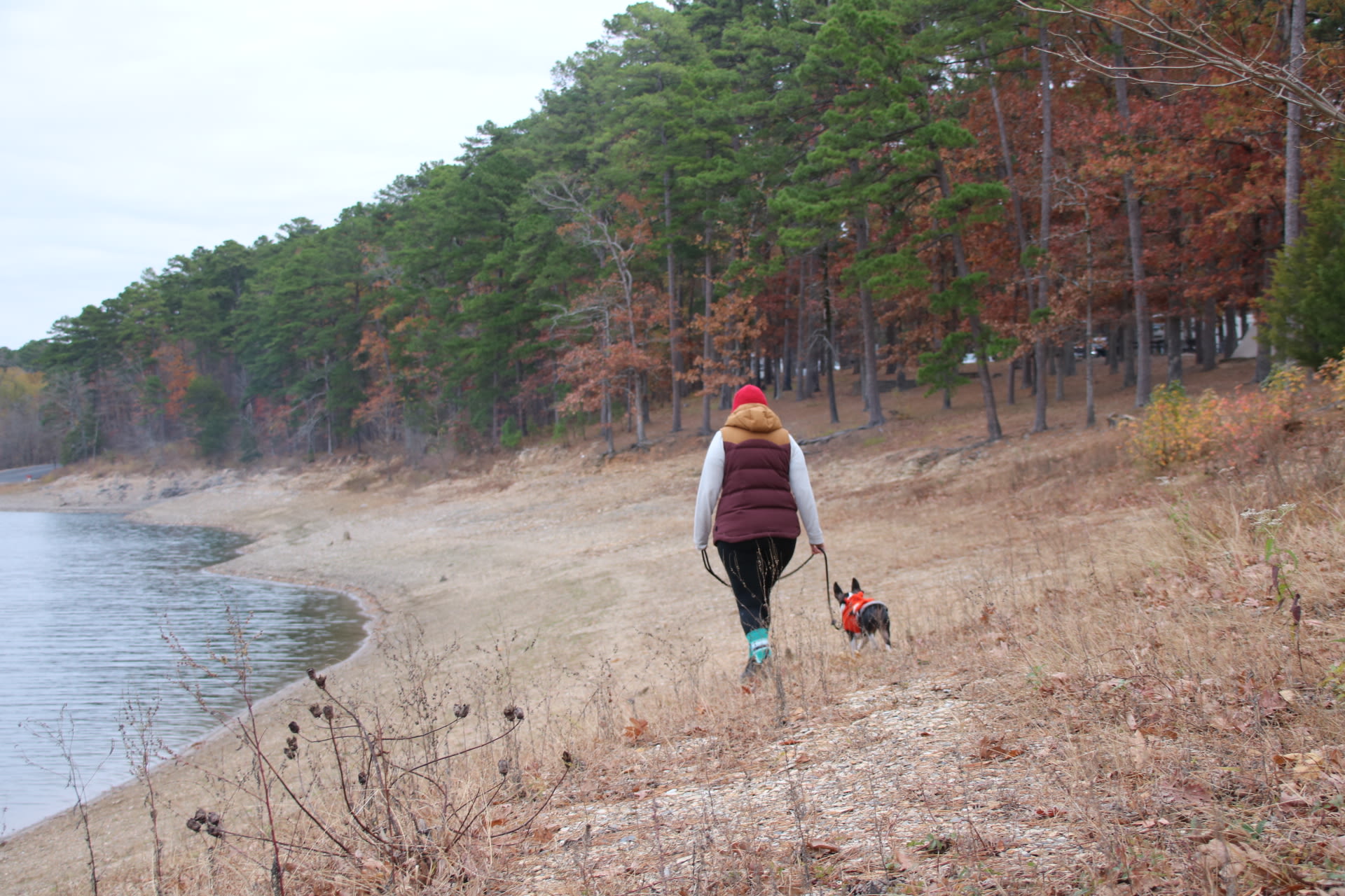 Pets are allowed on leash and the walk by the lake is lovely