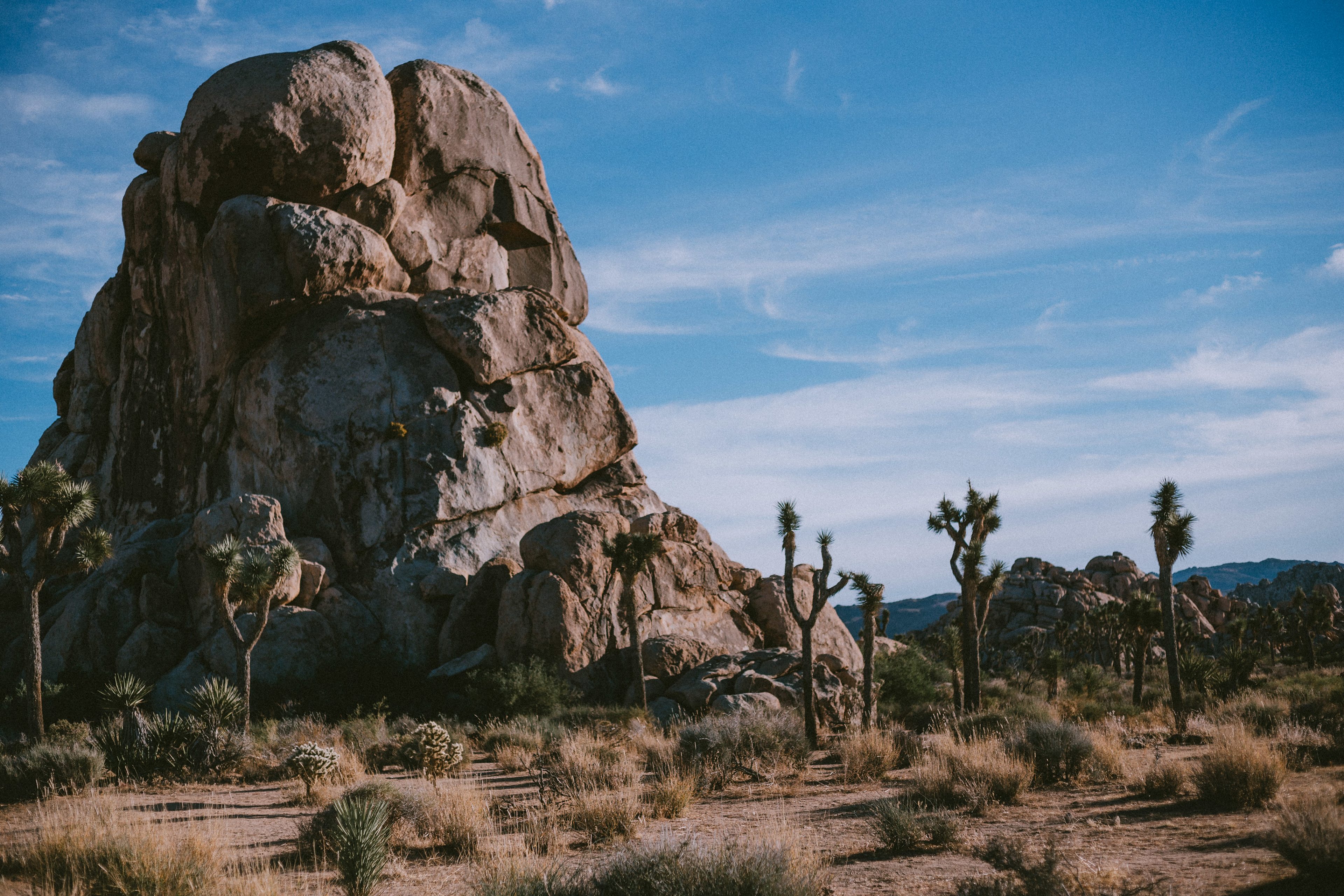 you can spend your whole day in the park and come back to your campsite at night