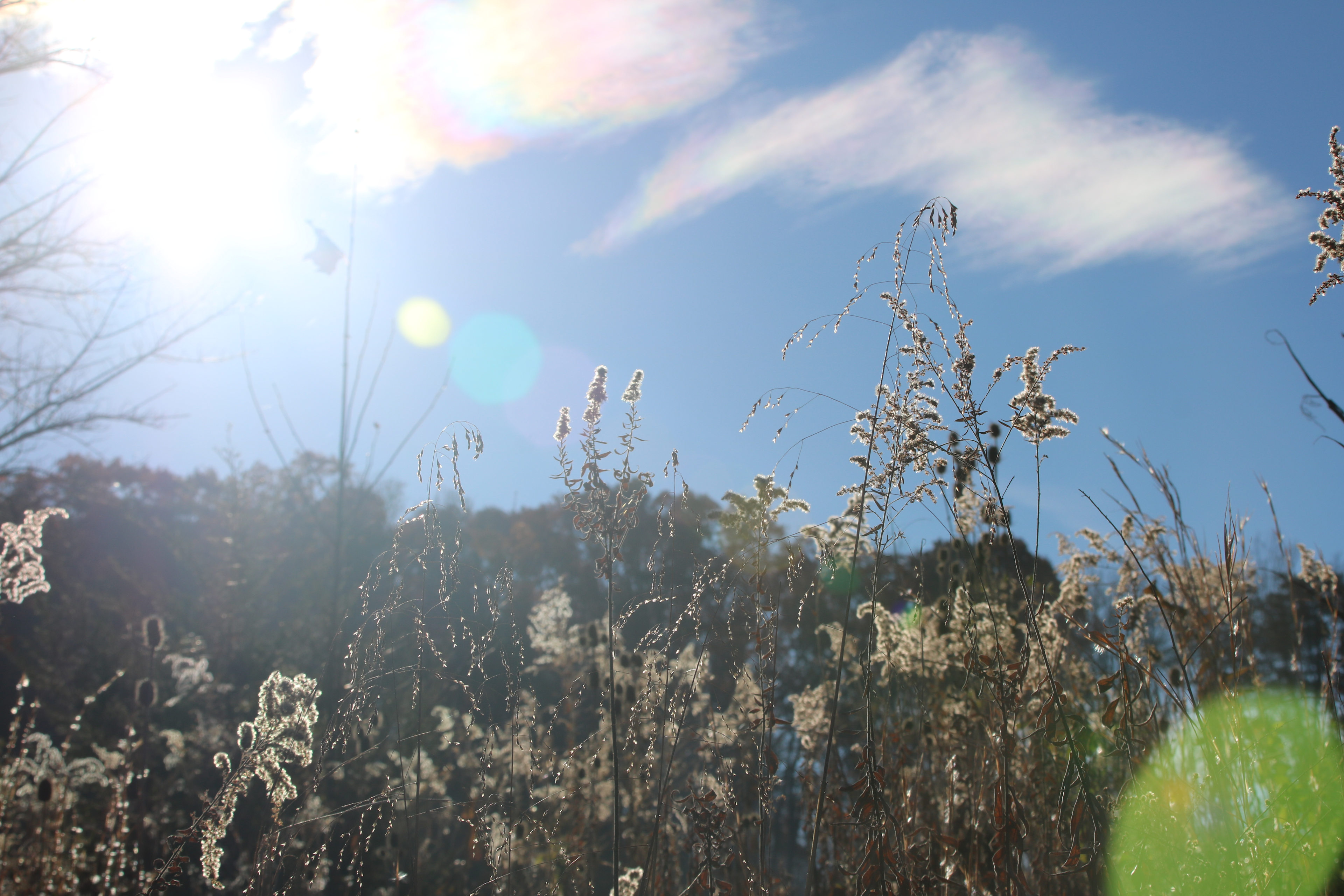 Shenandoah River State Park