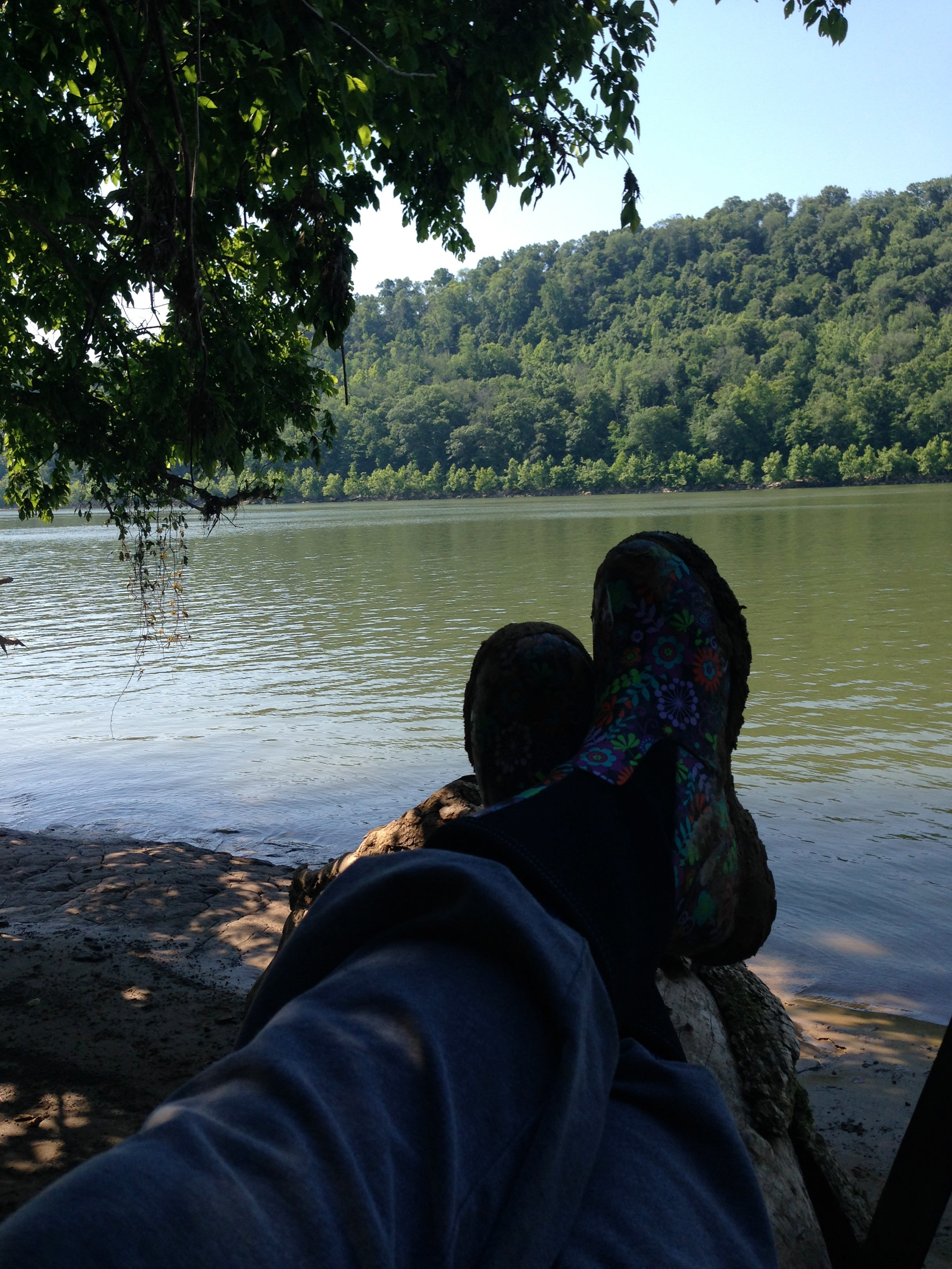 MoonLight Grove Farm