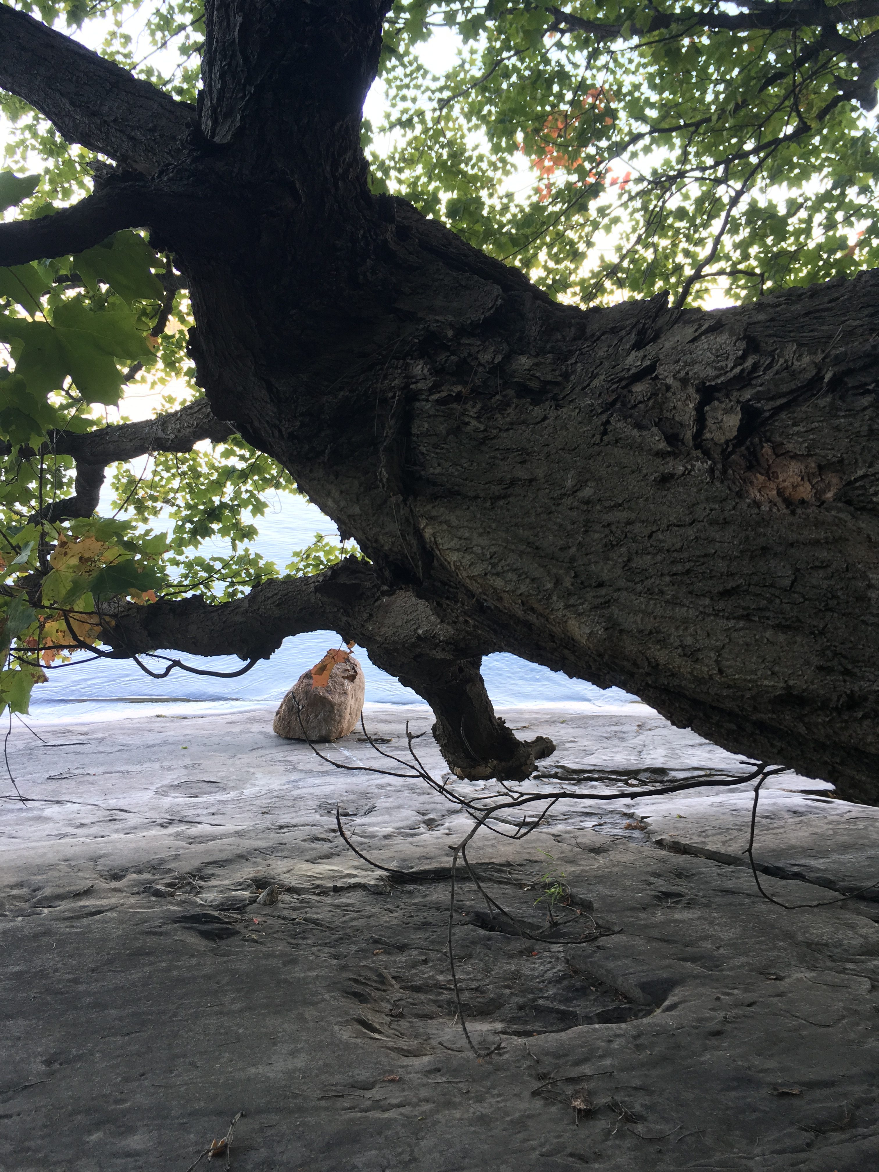 Button Bay State Park