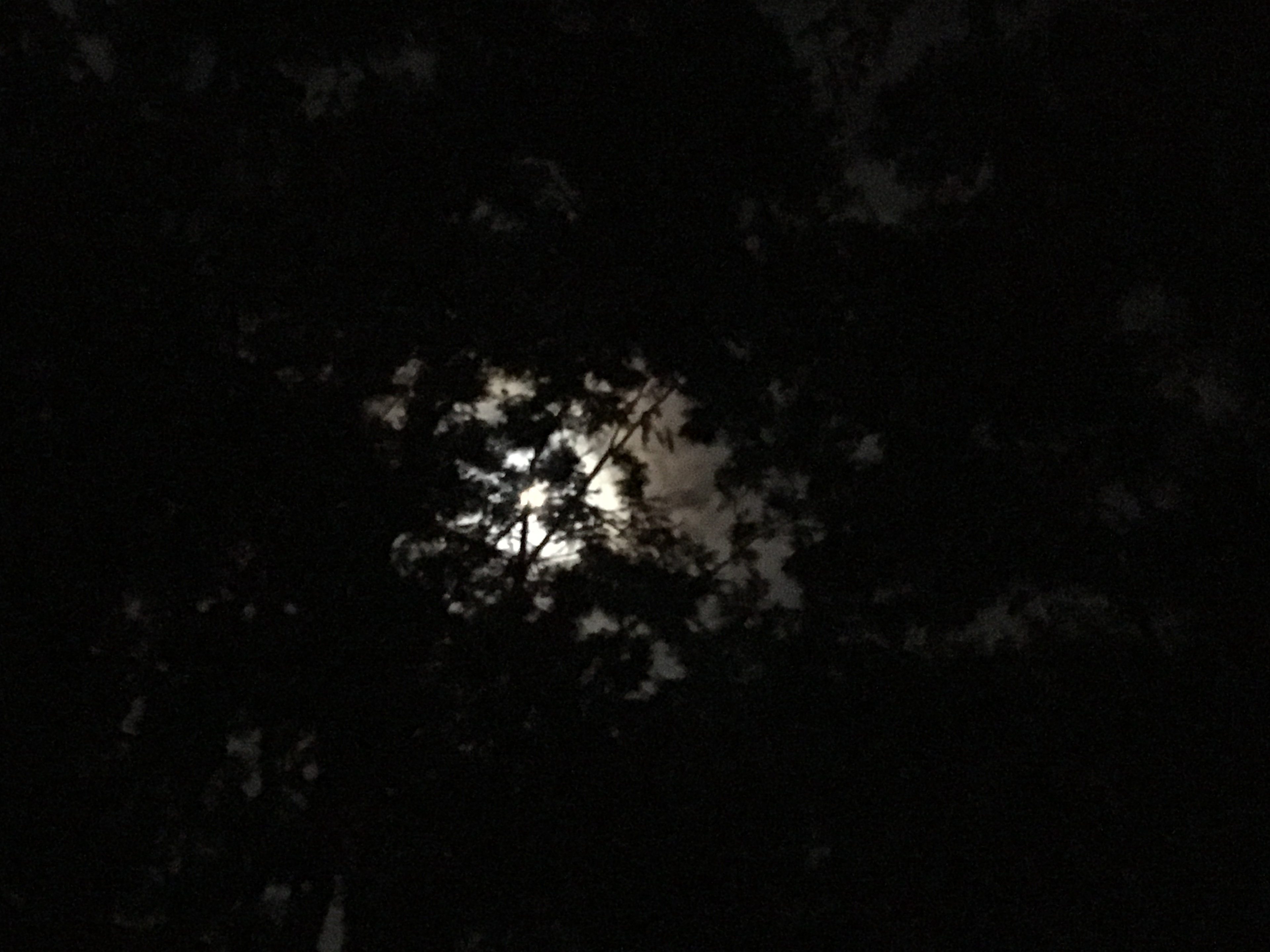 Full moon views at night. 