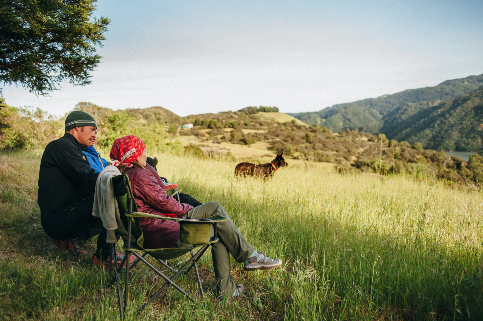 Enjoying the view and green hills.
