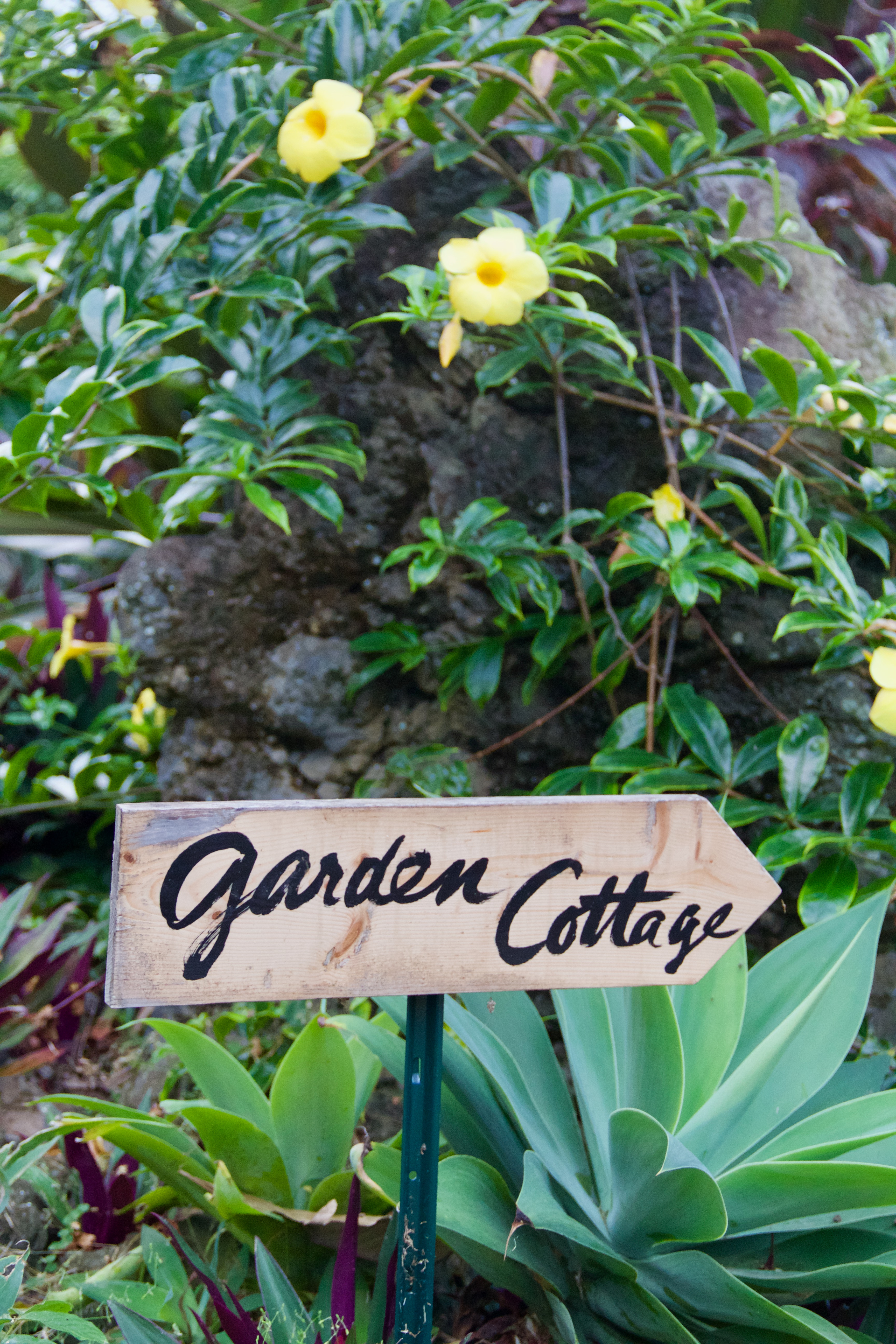 Gingerhill Farm Retreat