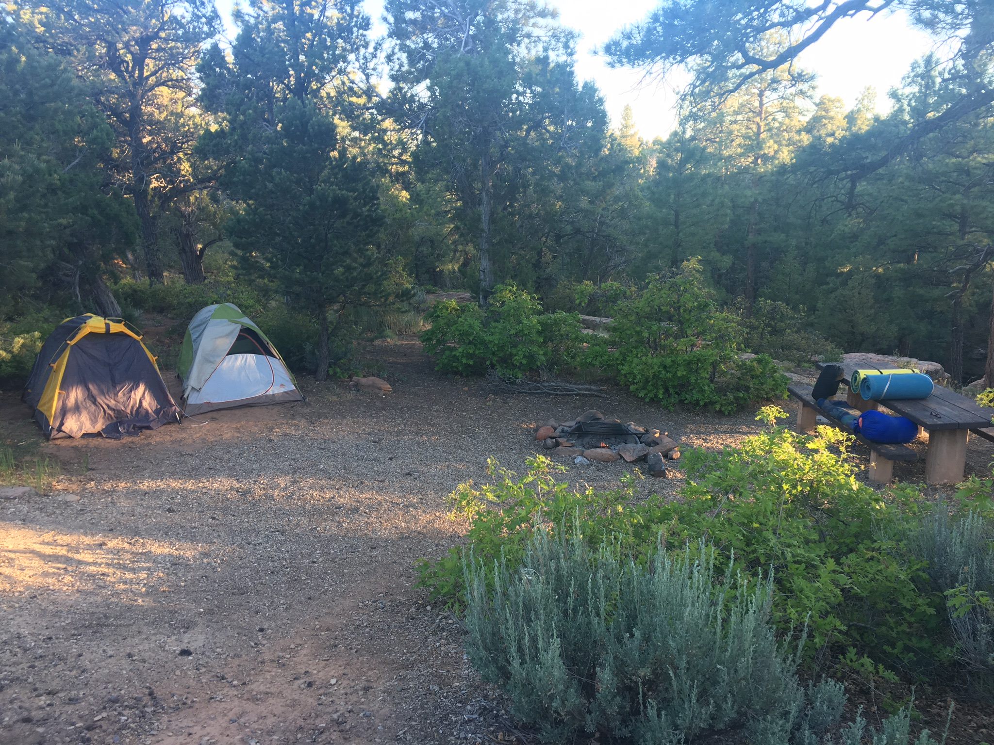 Manti-La Sal National Forest