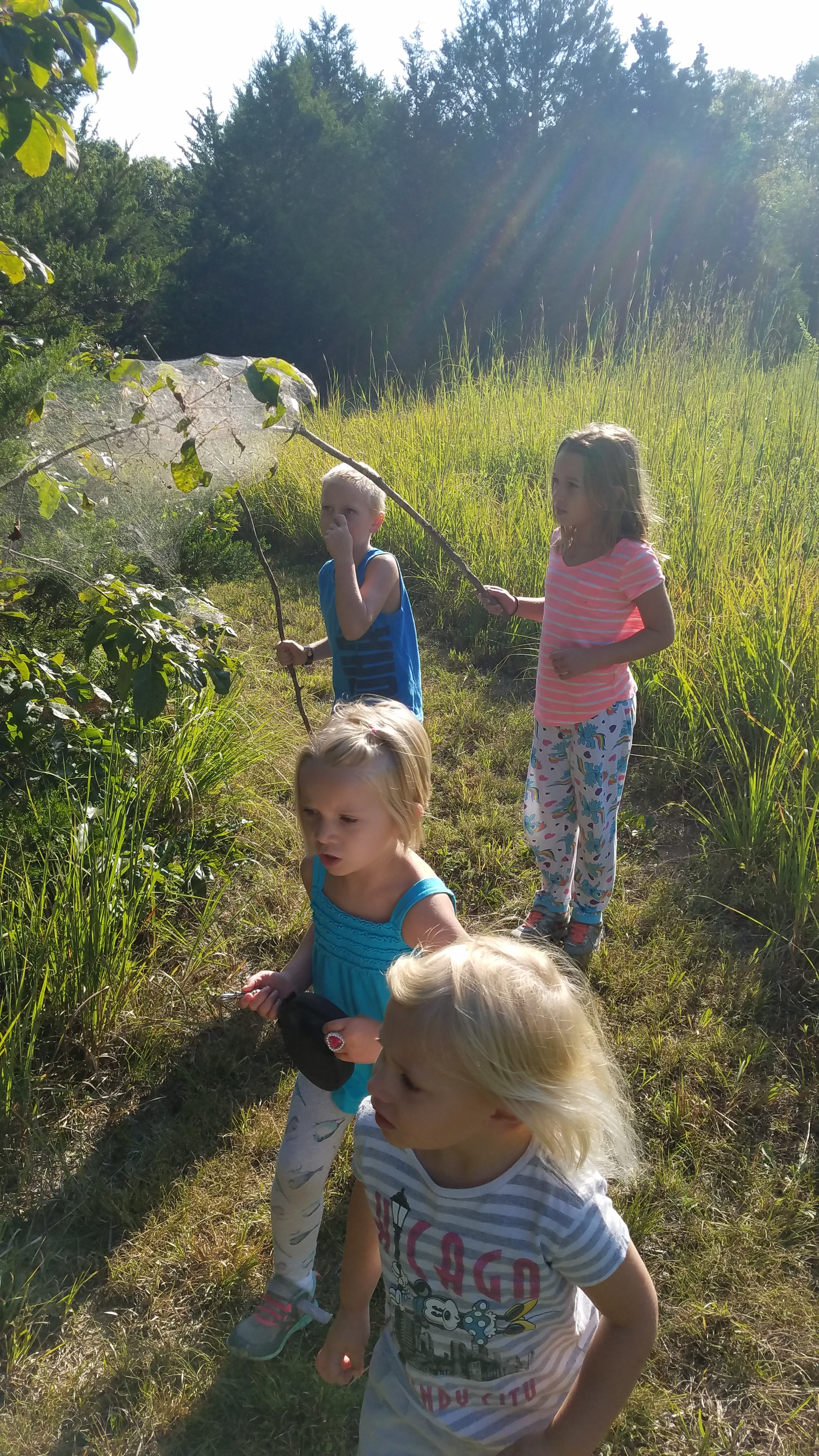 Ozark Hills Honey Farm